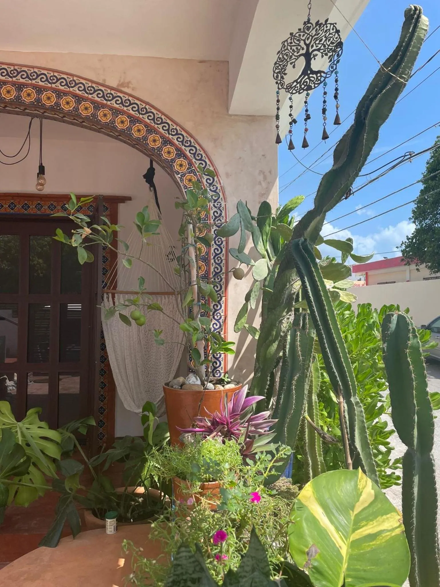 Garden in Casa Bene Villas