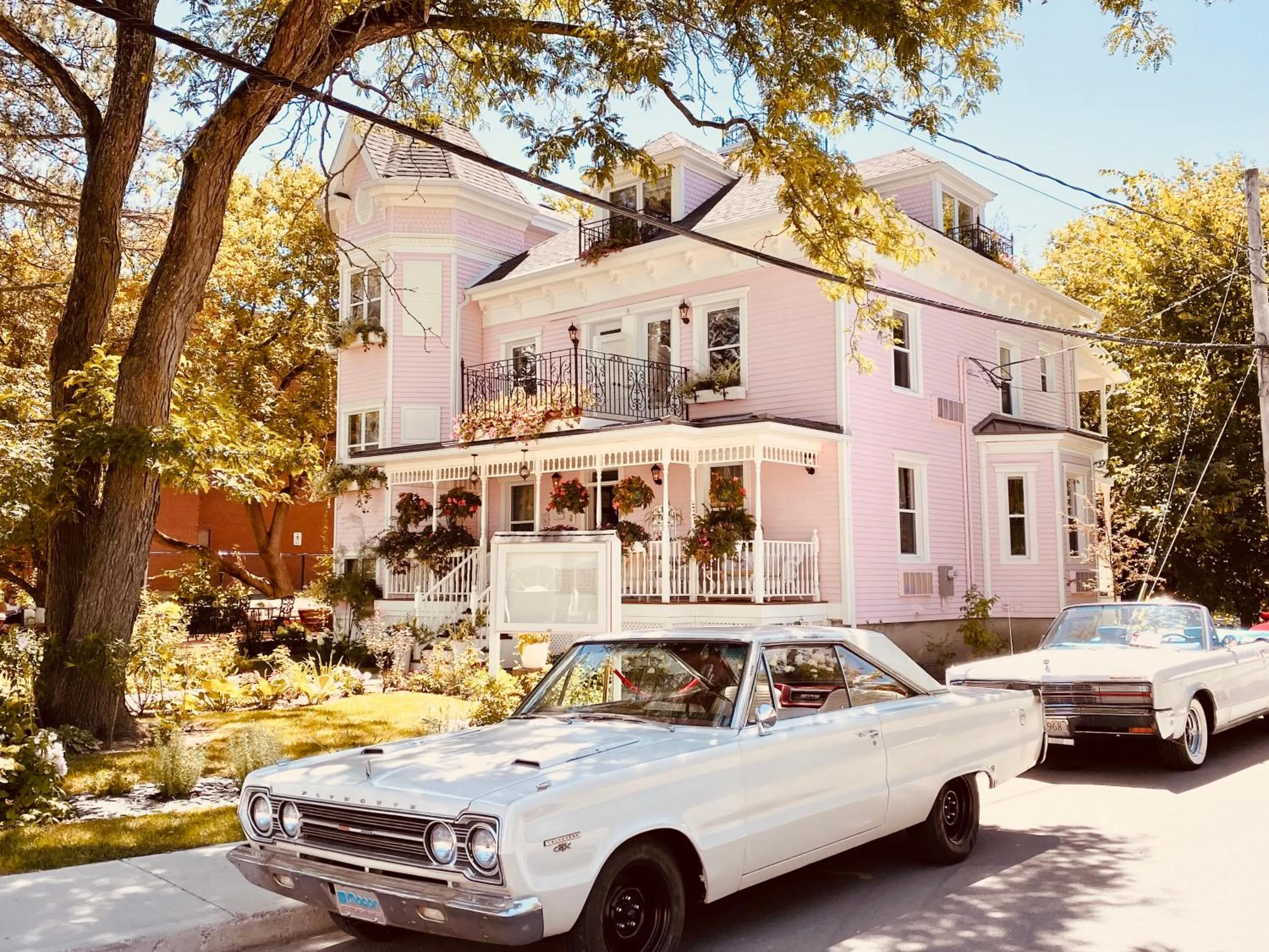 Property building in Maison Rose