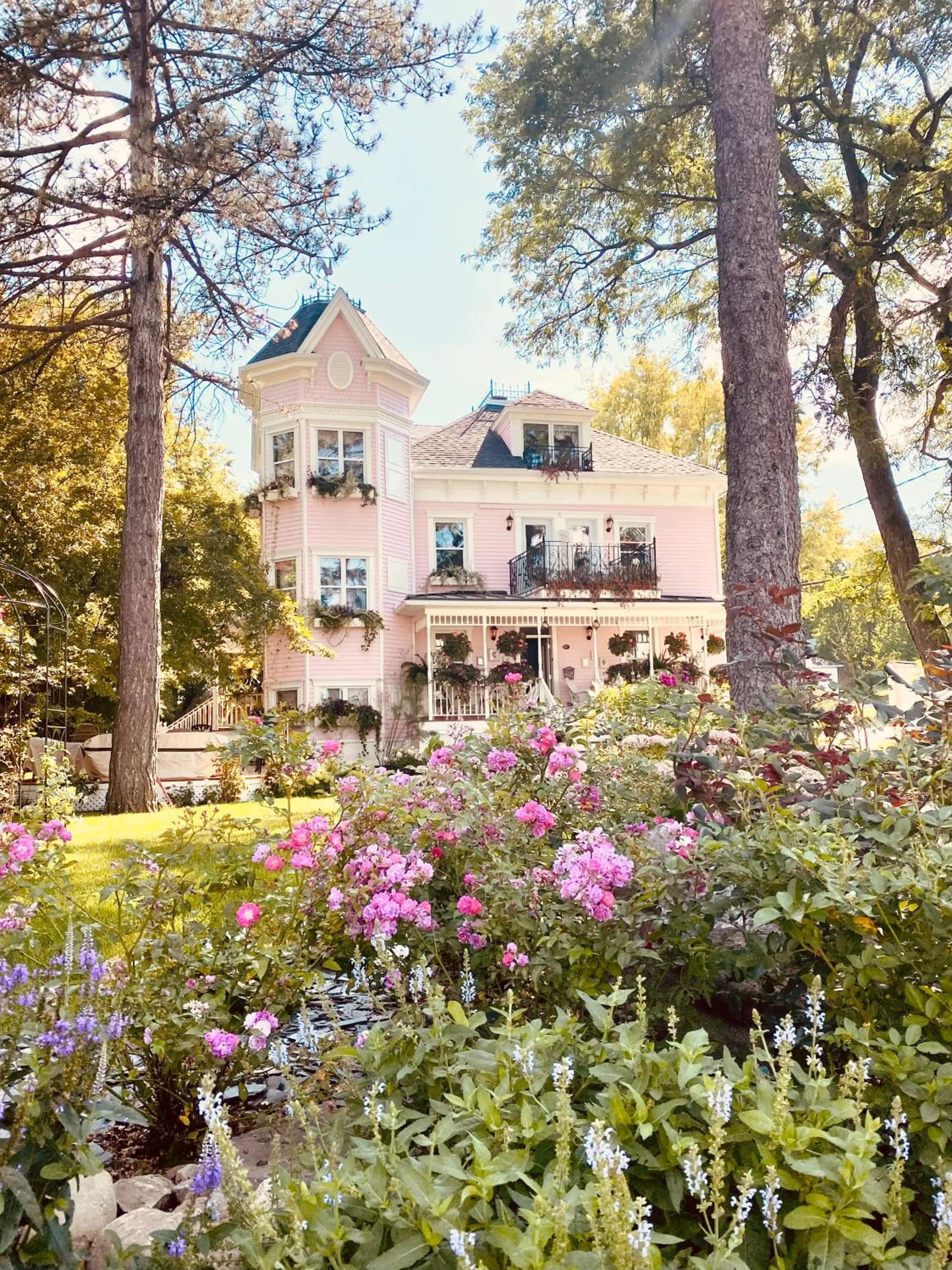 Spring in Maison Rose