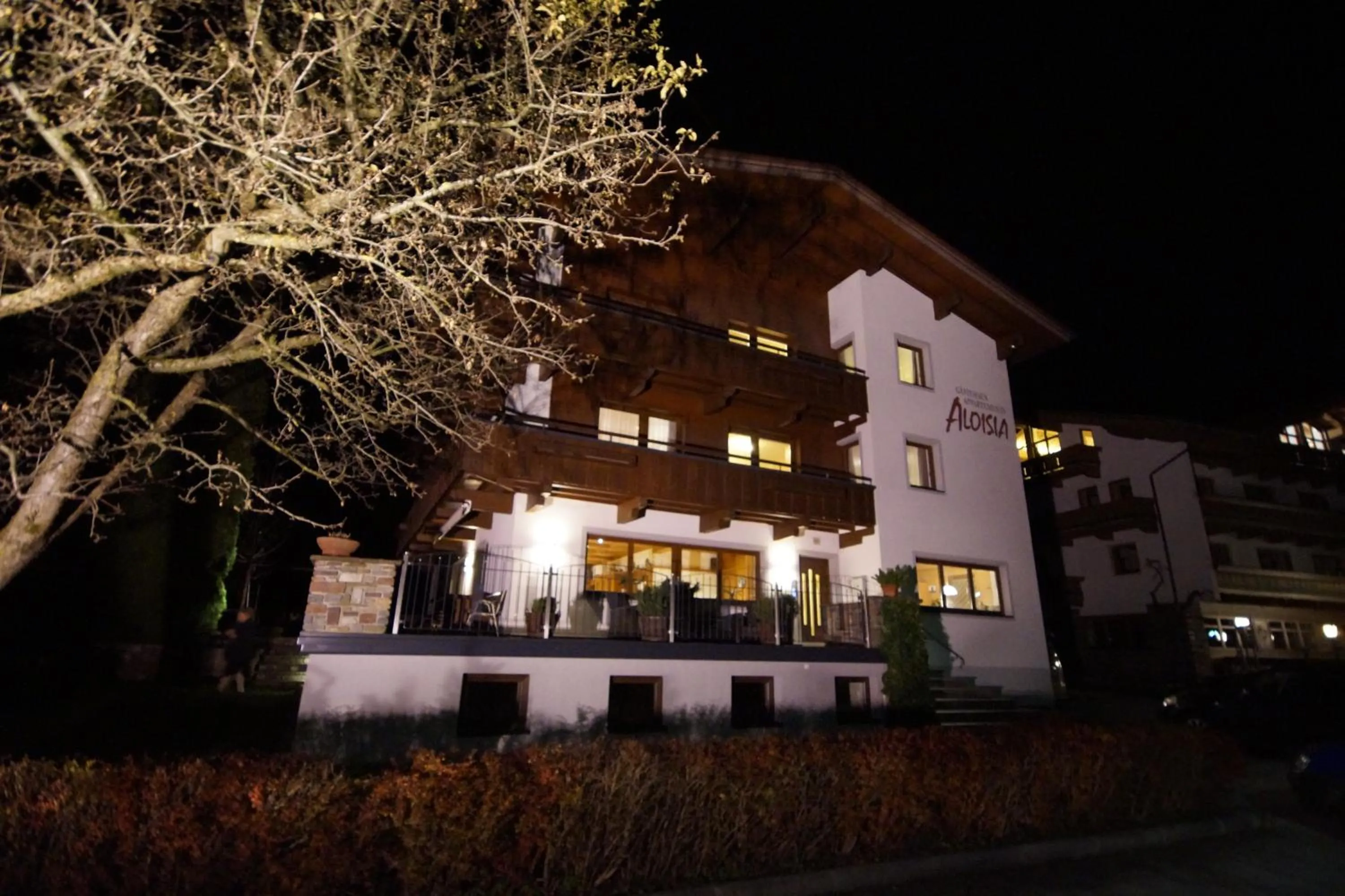 Night in Appartement Gästehaus Aloisia