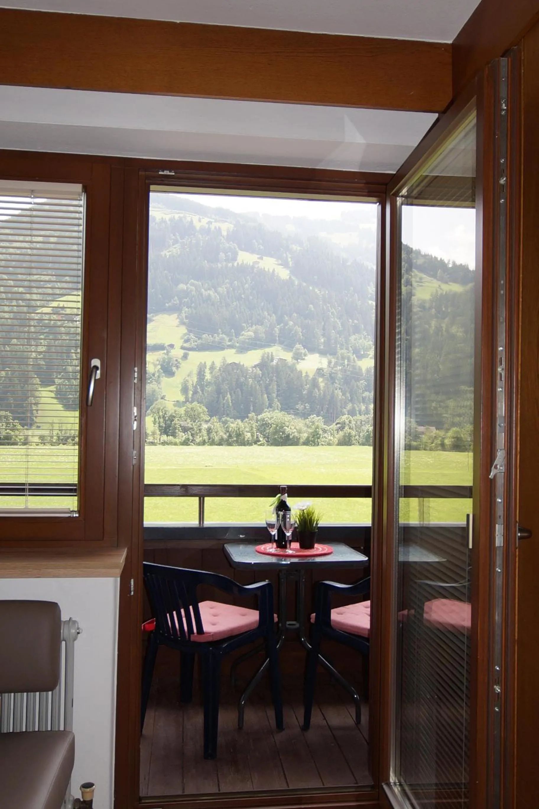 Mountain view in Appartement Gästehaus Aloisia