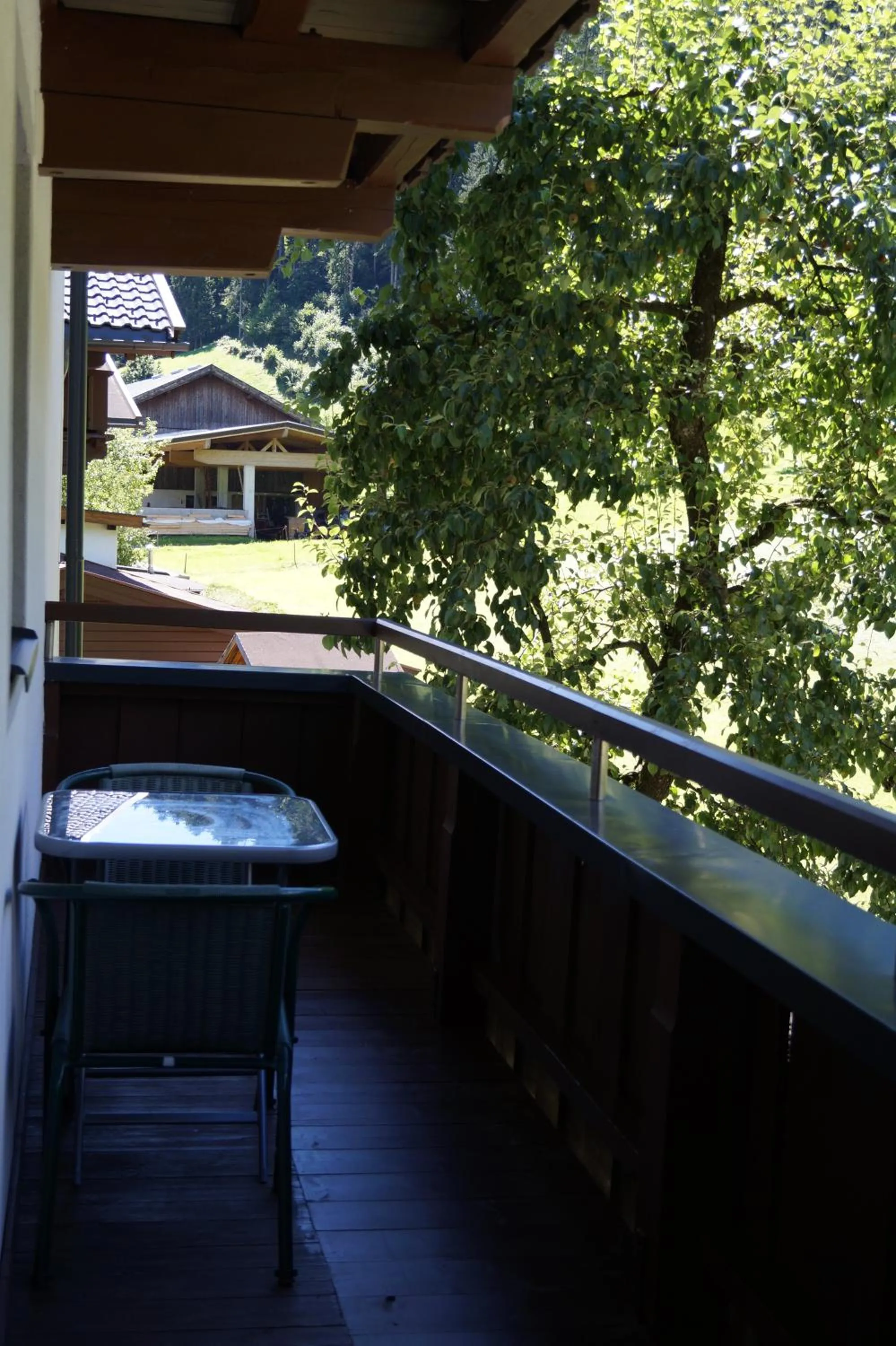 Balcony/Terrace in Appartement Gästehaus Aloisia