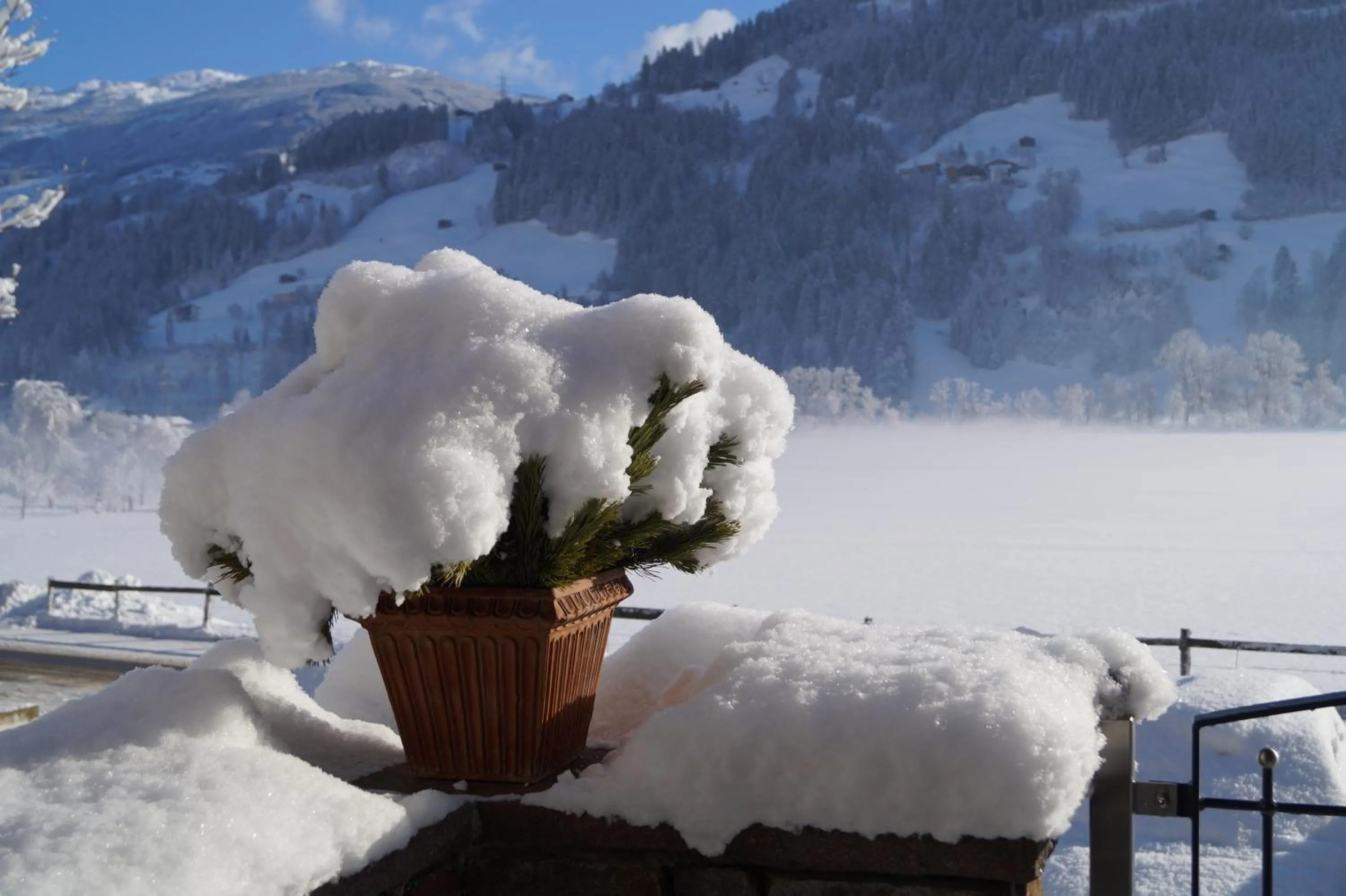 Natural landscape in Appartement Gästehaus Aloisia