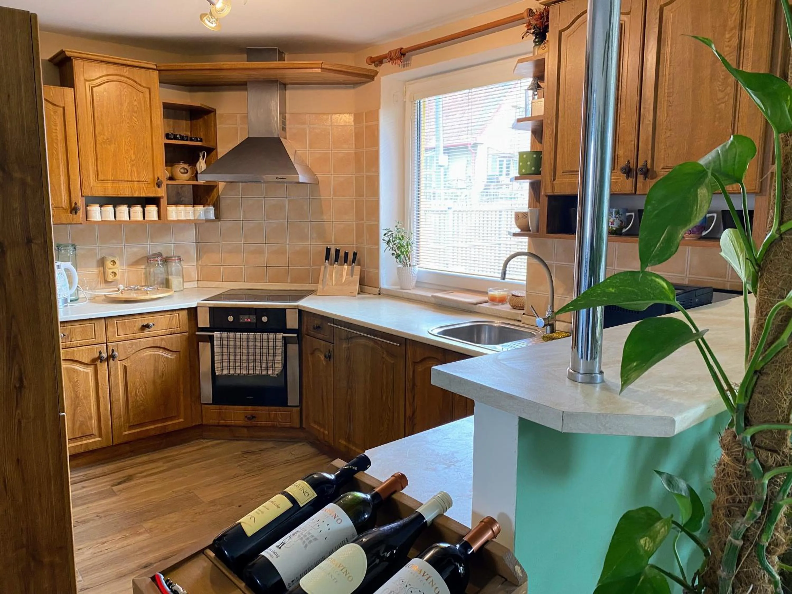 Kitchen or kitchenette in Apartmán Valtice 24 hod check in