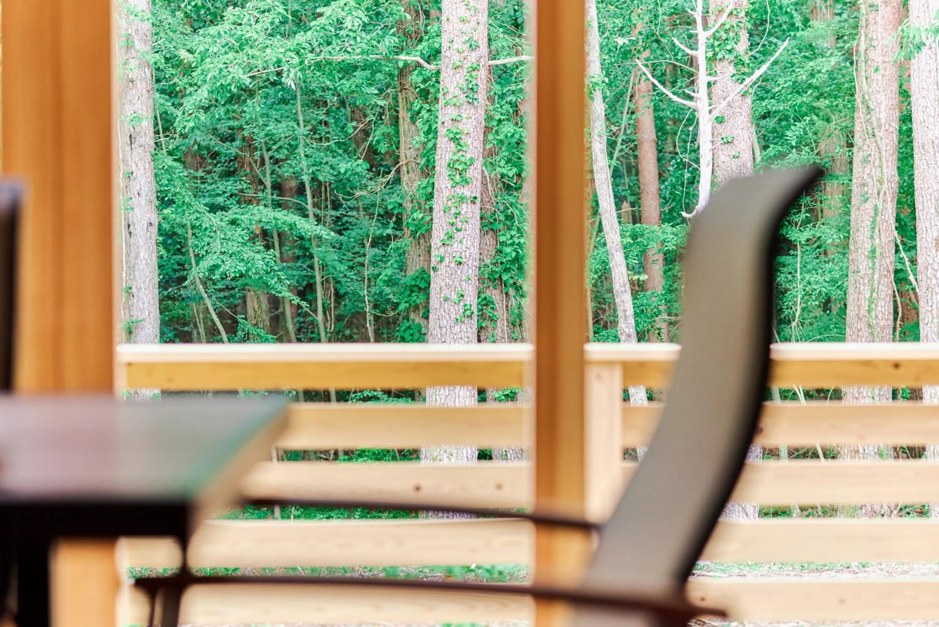 enico MtFuji Resort&Glamping