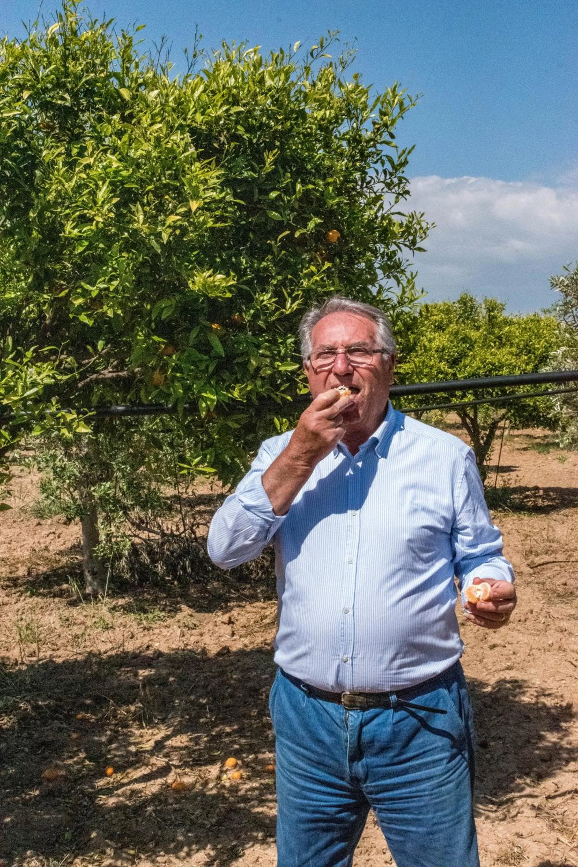 Staff in Torre Tabia