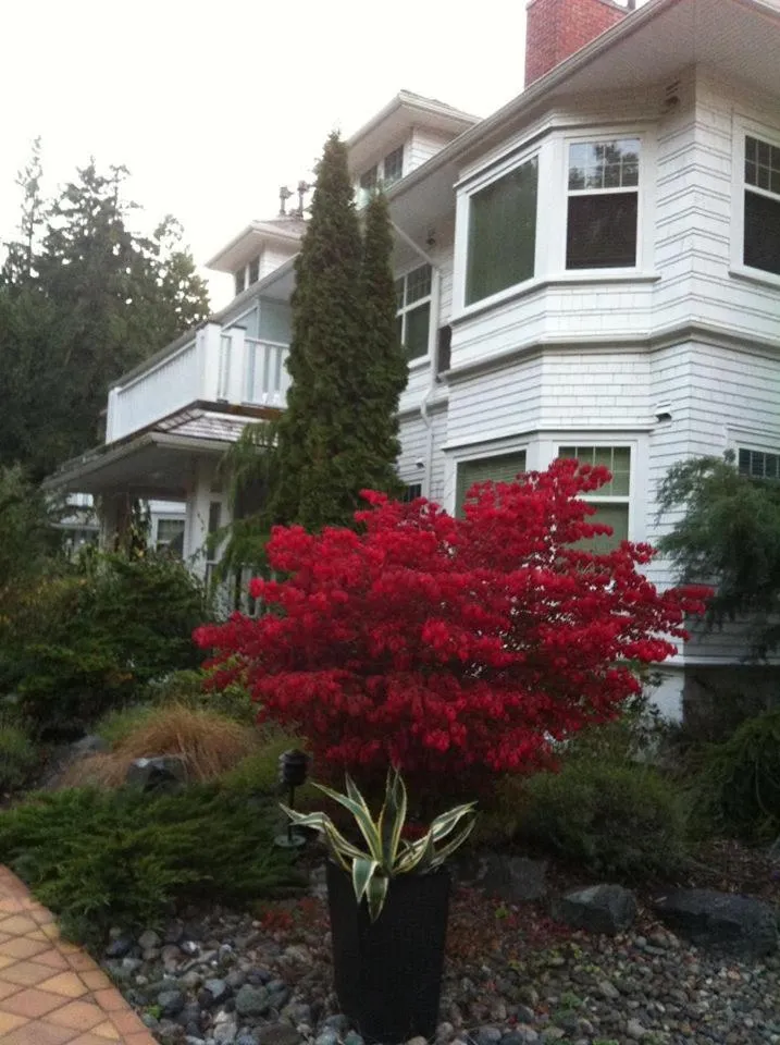 Property building in Crown Mansion Boutique Hotel & Villas