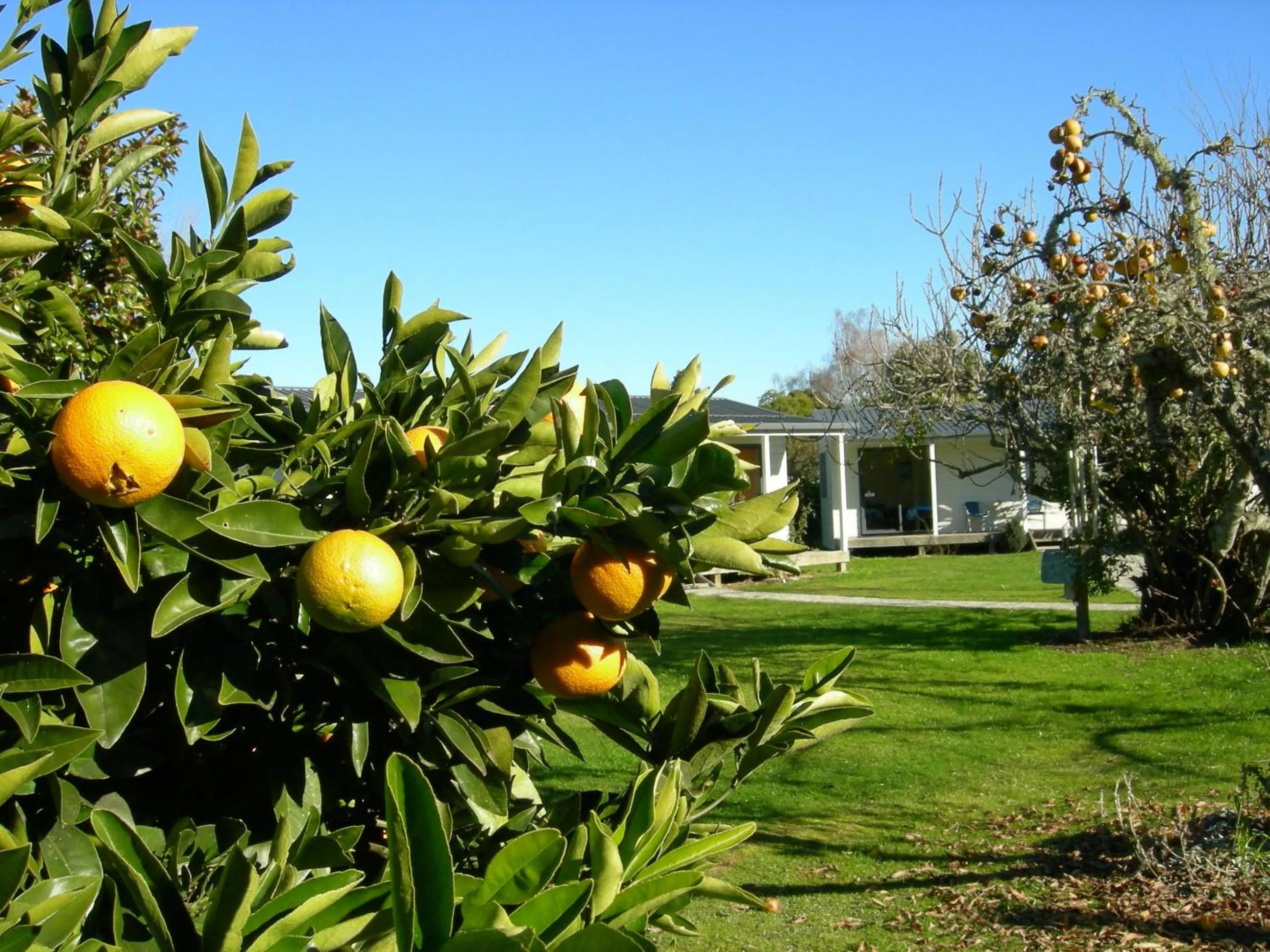 Garden in White Elephant Accomodation