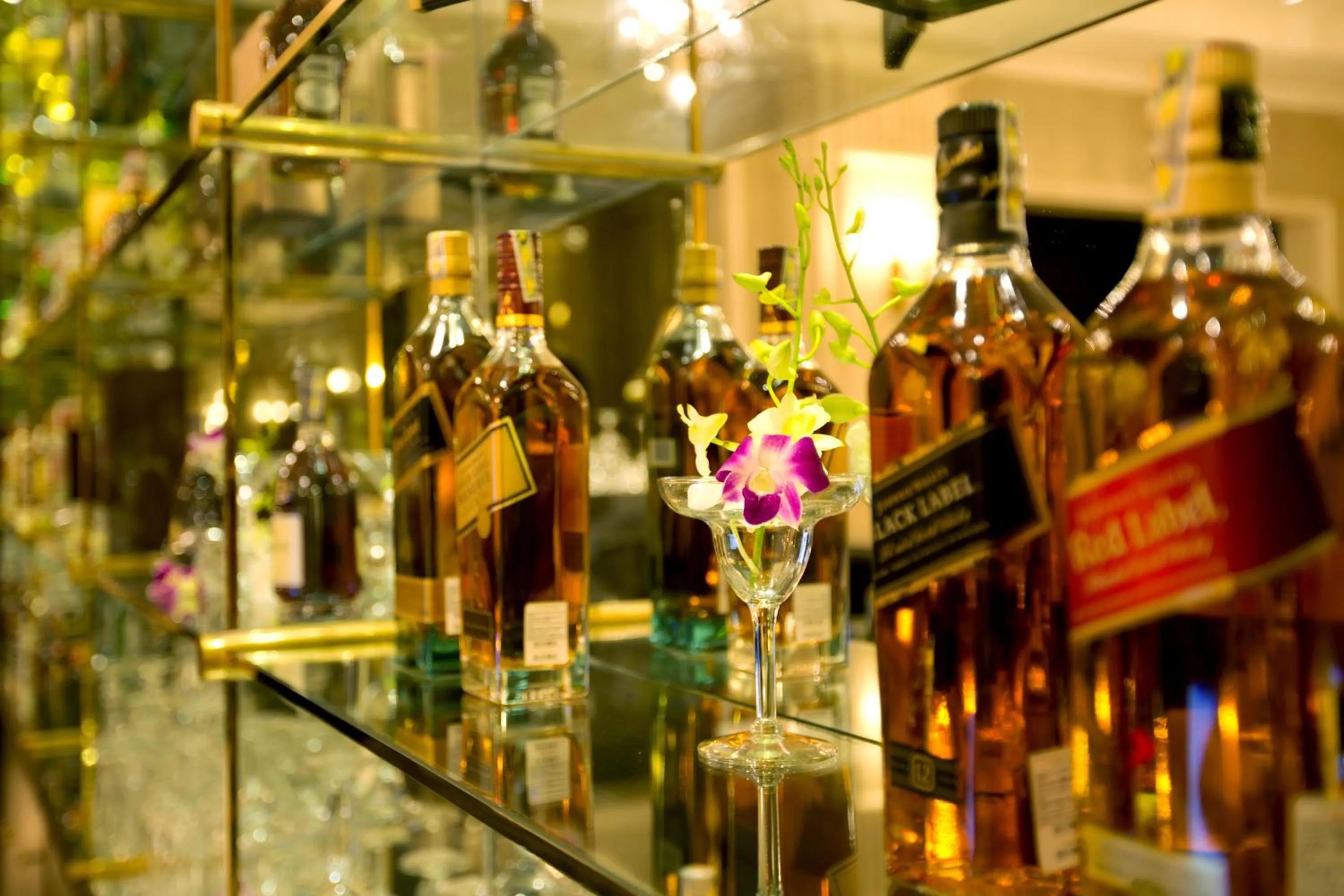 Lounge or bar in Eldora Hotel