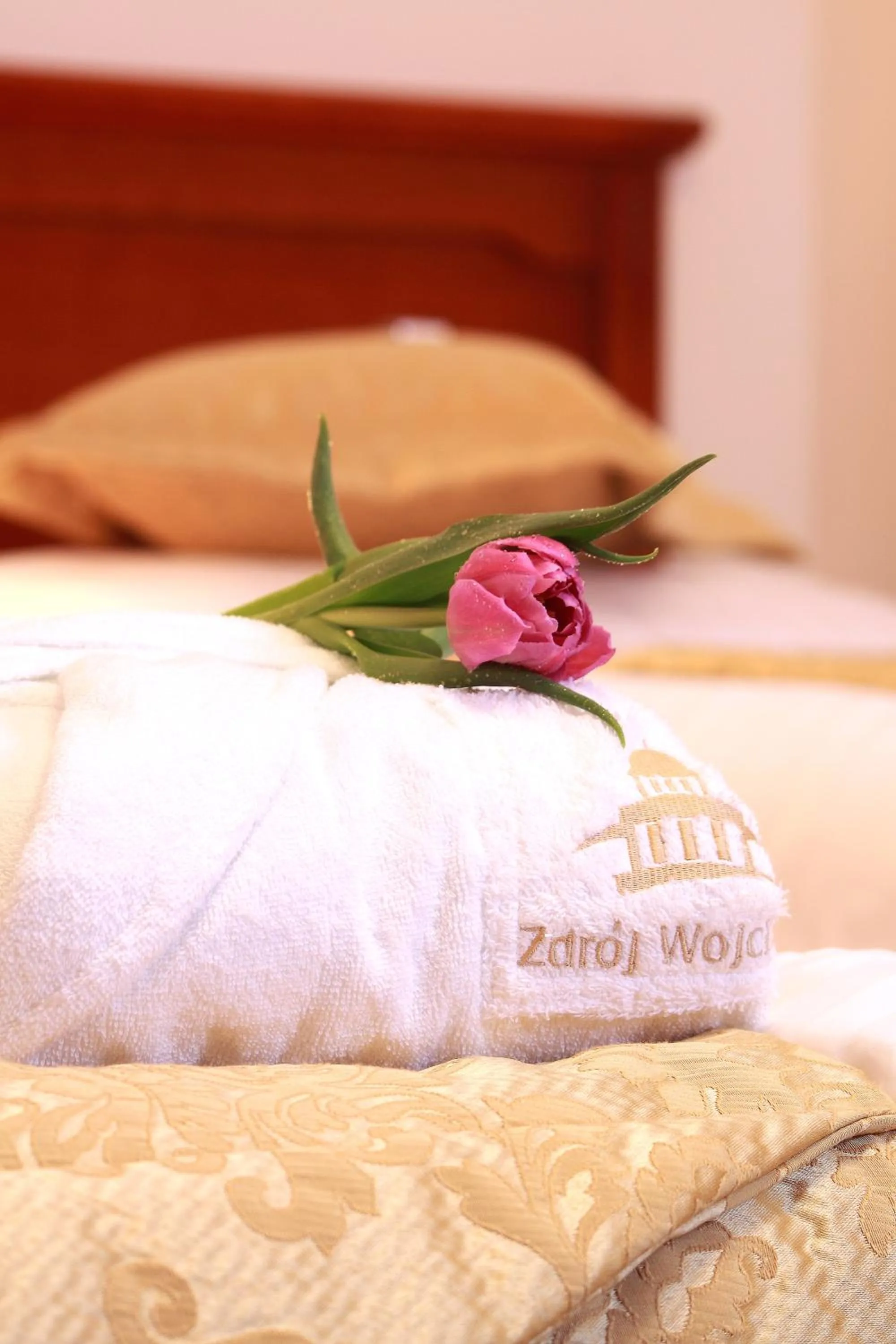 Photo of the whole room, Bed in Zdrój Wojciech