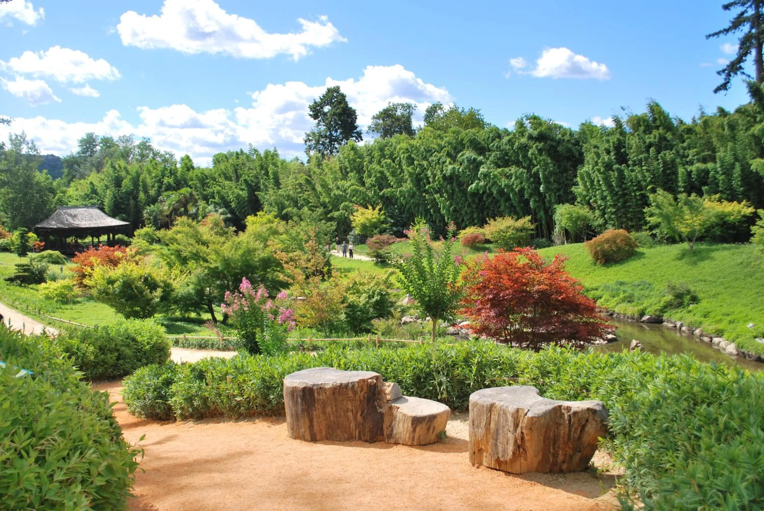 Activities in Hotel Les Bellugues