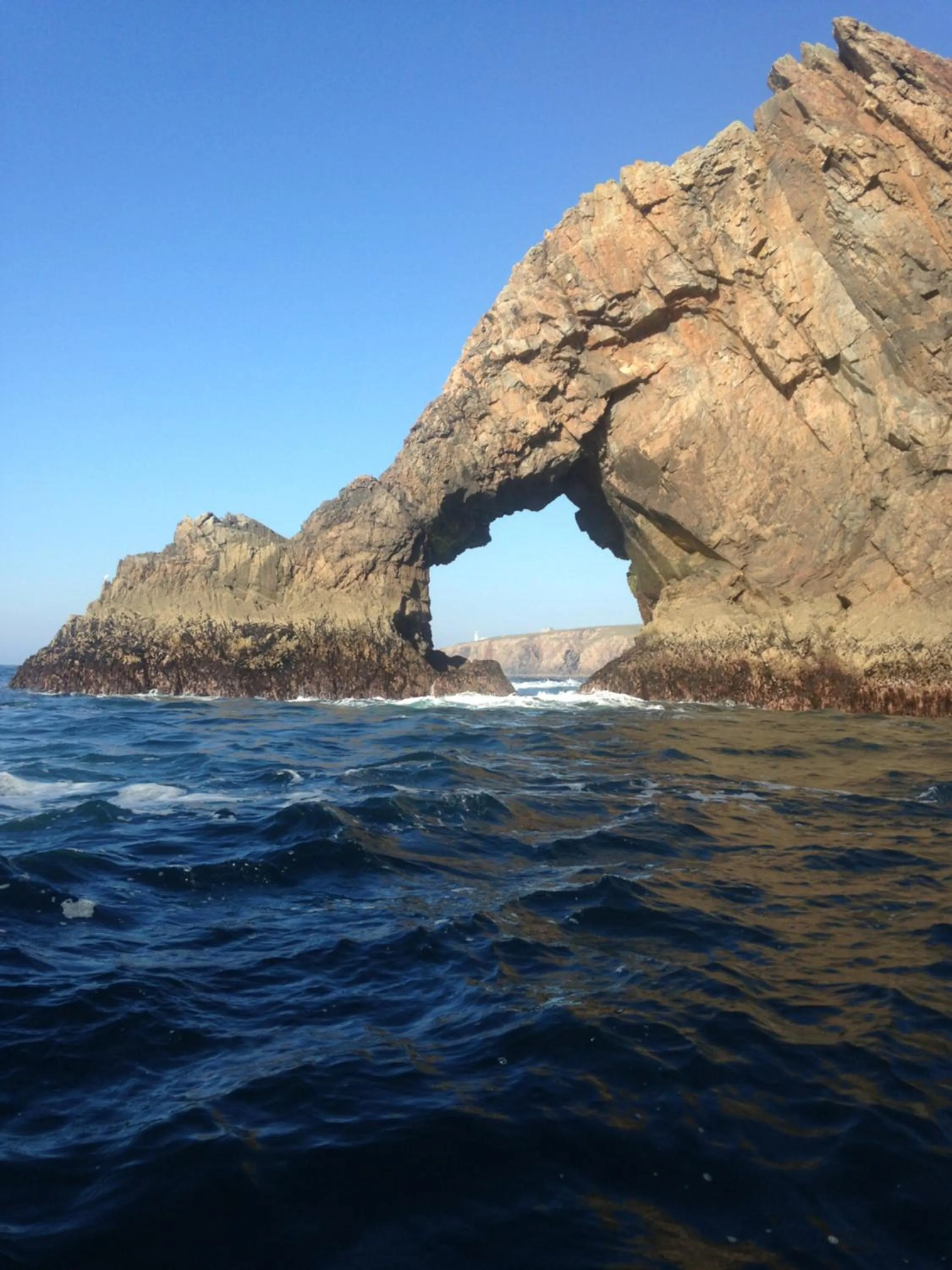 Spring in Inisean Ocean View