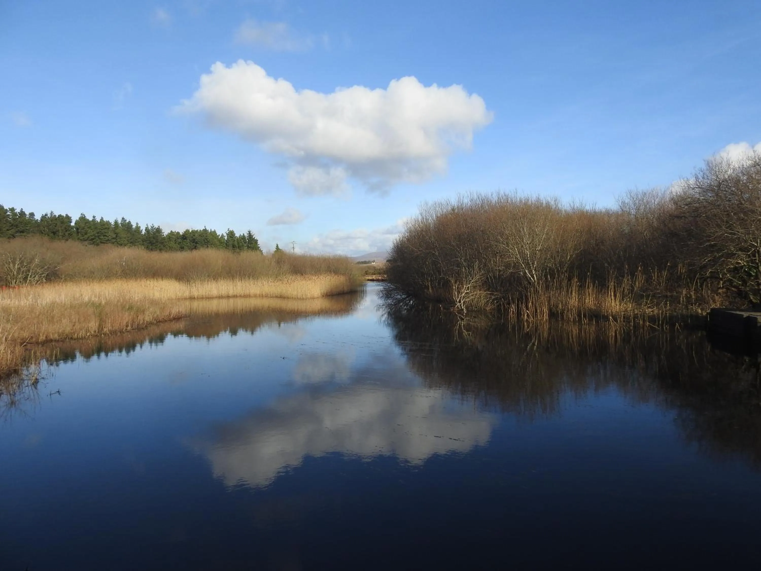 Spring in Inisean Ocean View