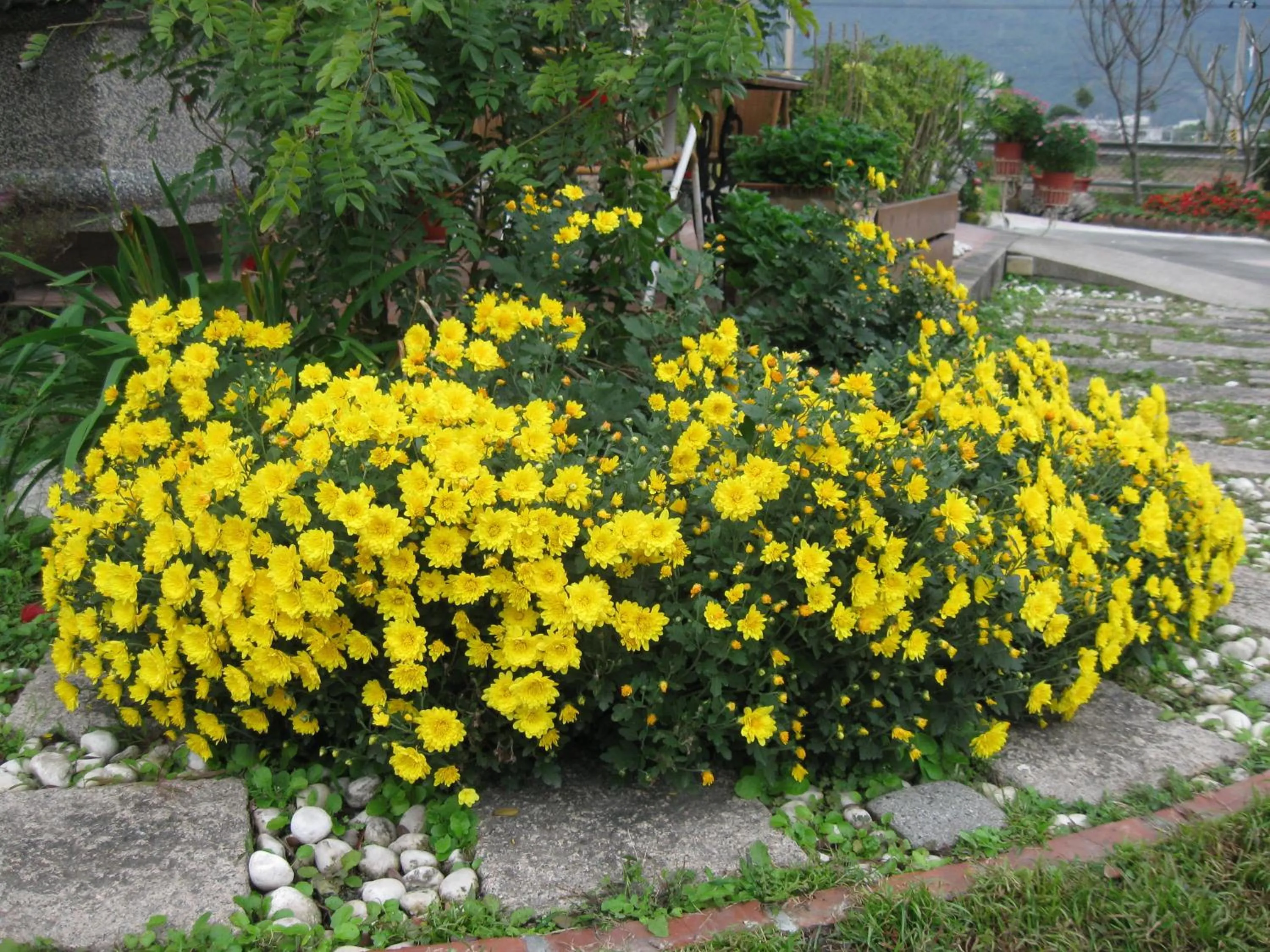 Staff in Evergreen Garden House