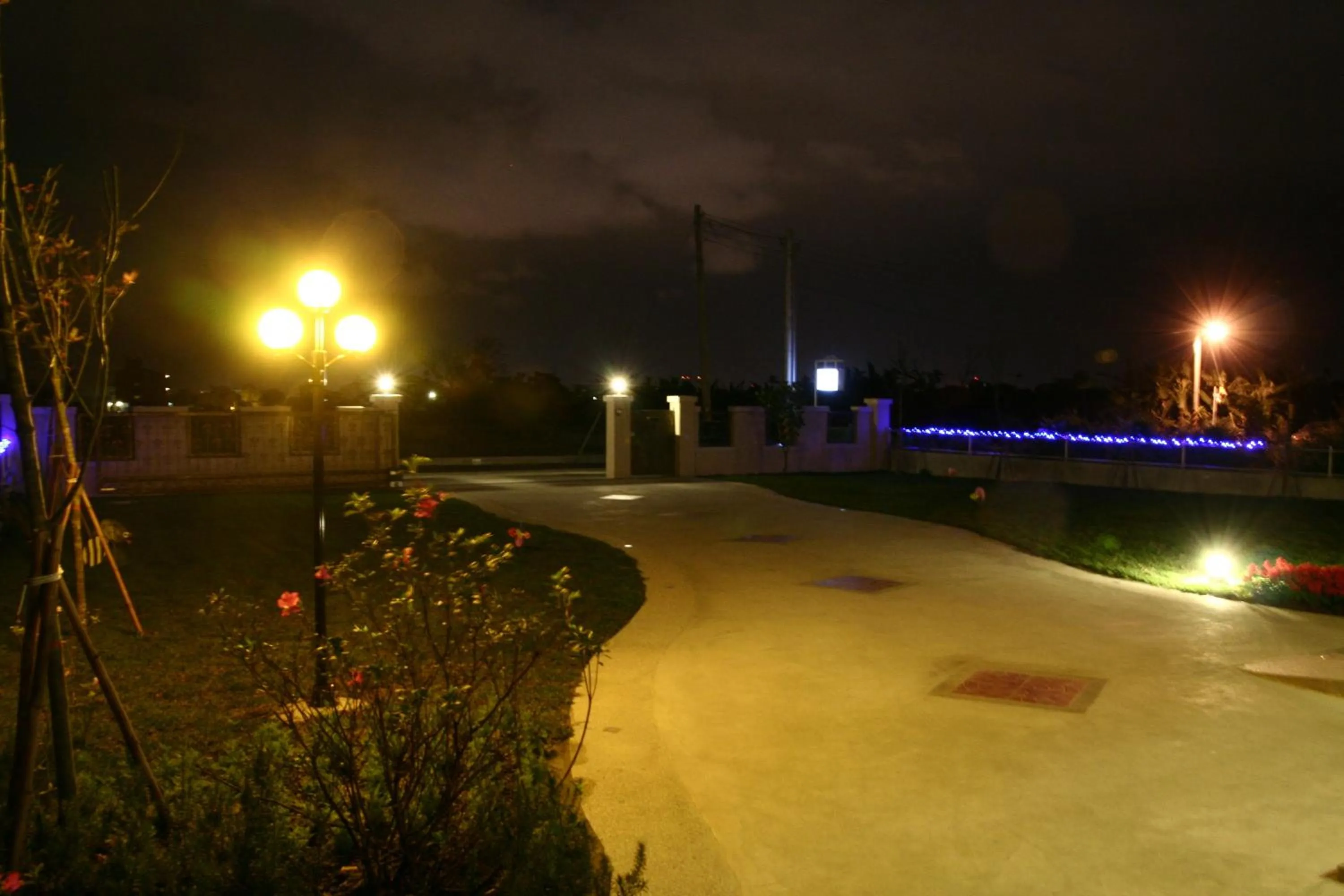 Garden in Evergreen Garden House