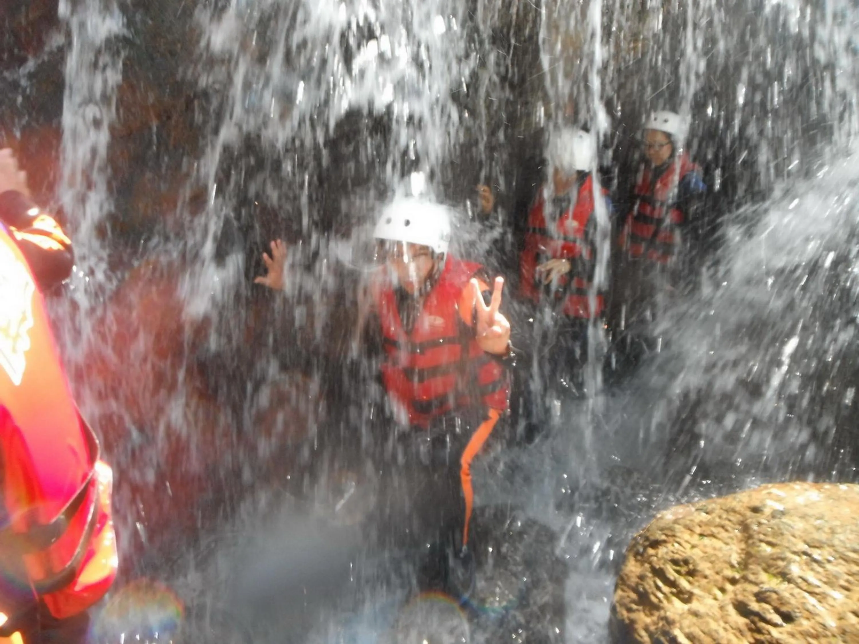 Staff in Evergreen Garden House