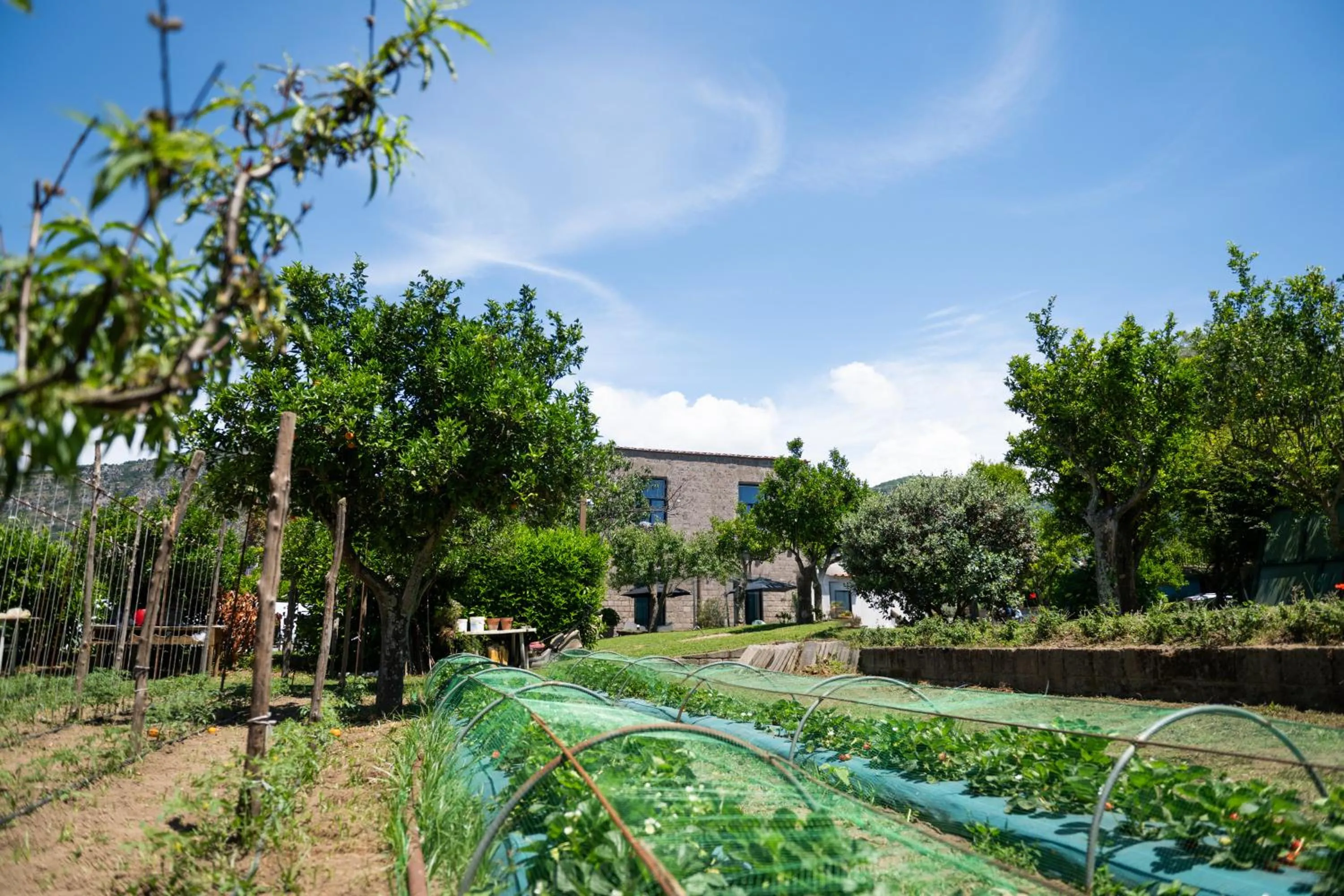 1912 Relais - Sorrento Coast