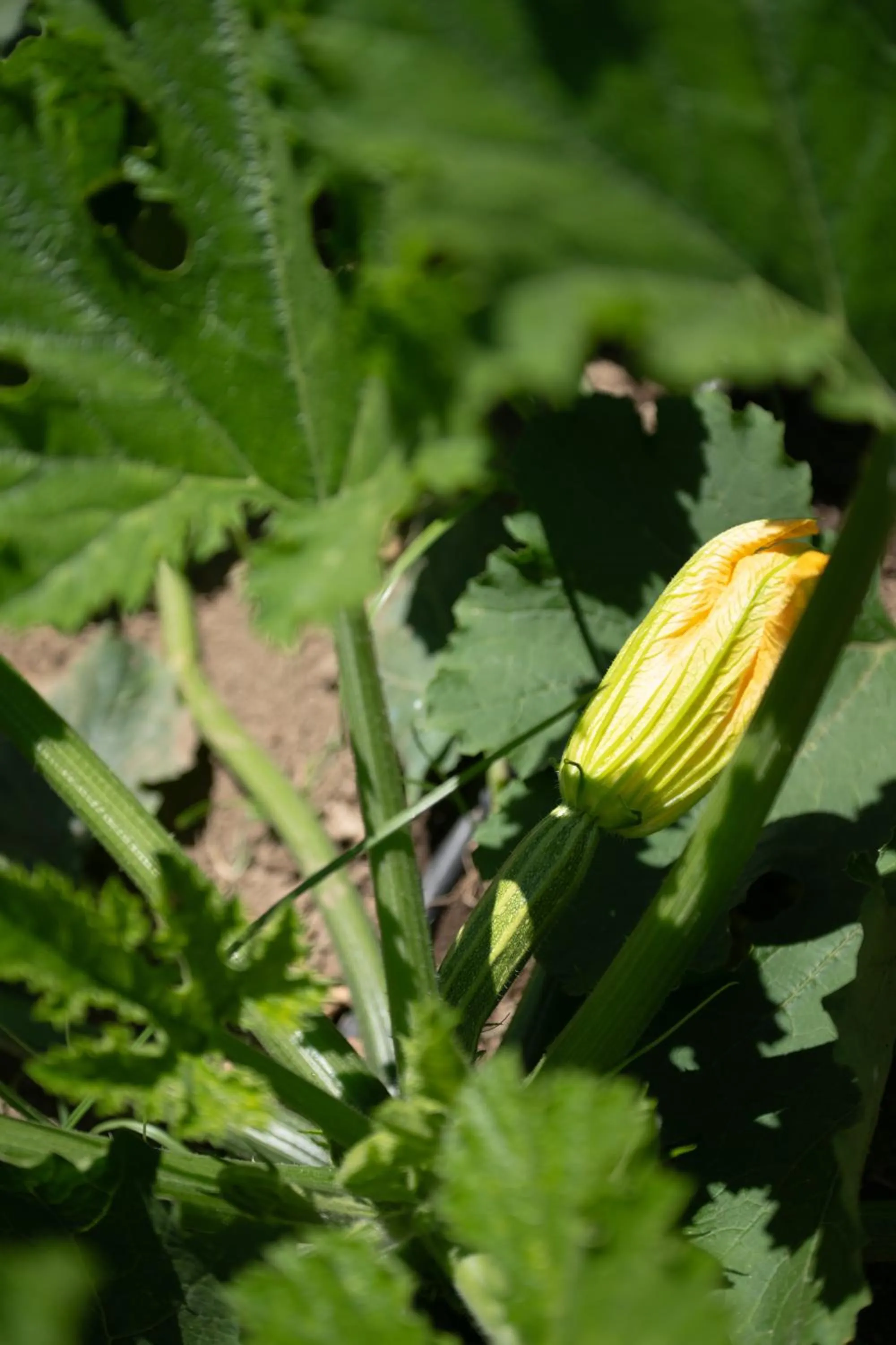 1912 Relais - Sorrento Coast