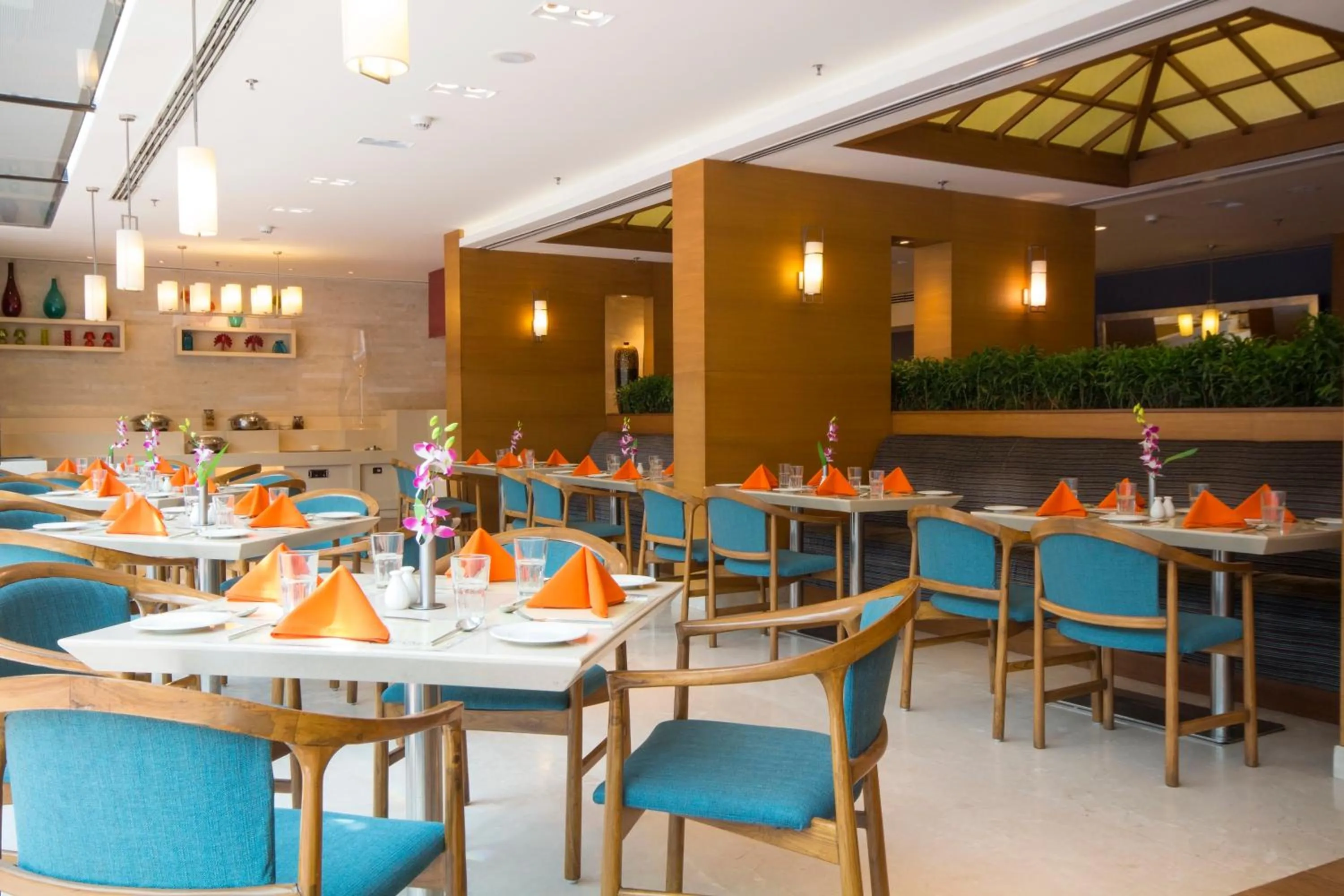 Restaurant/places to eat in Dolphin Hotel