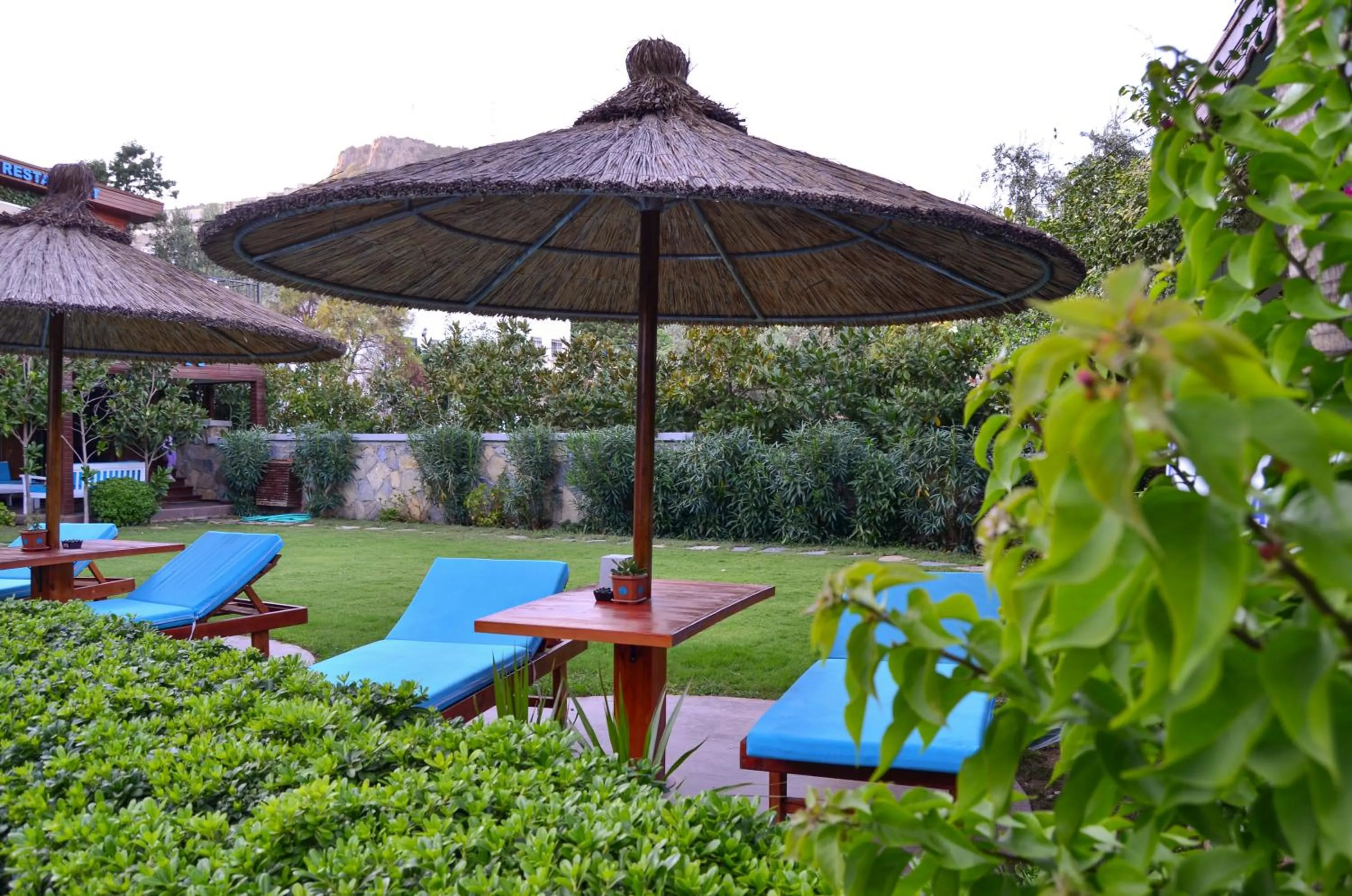 Garden in Liona Hotel & SPA