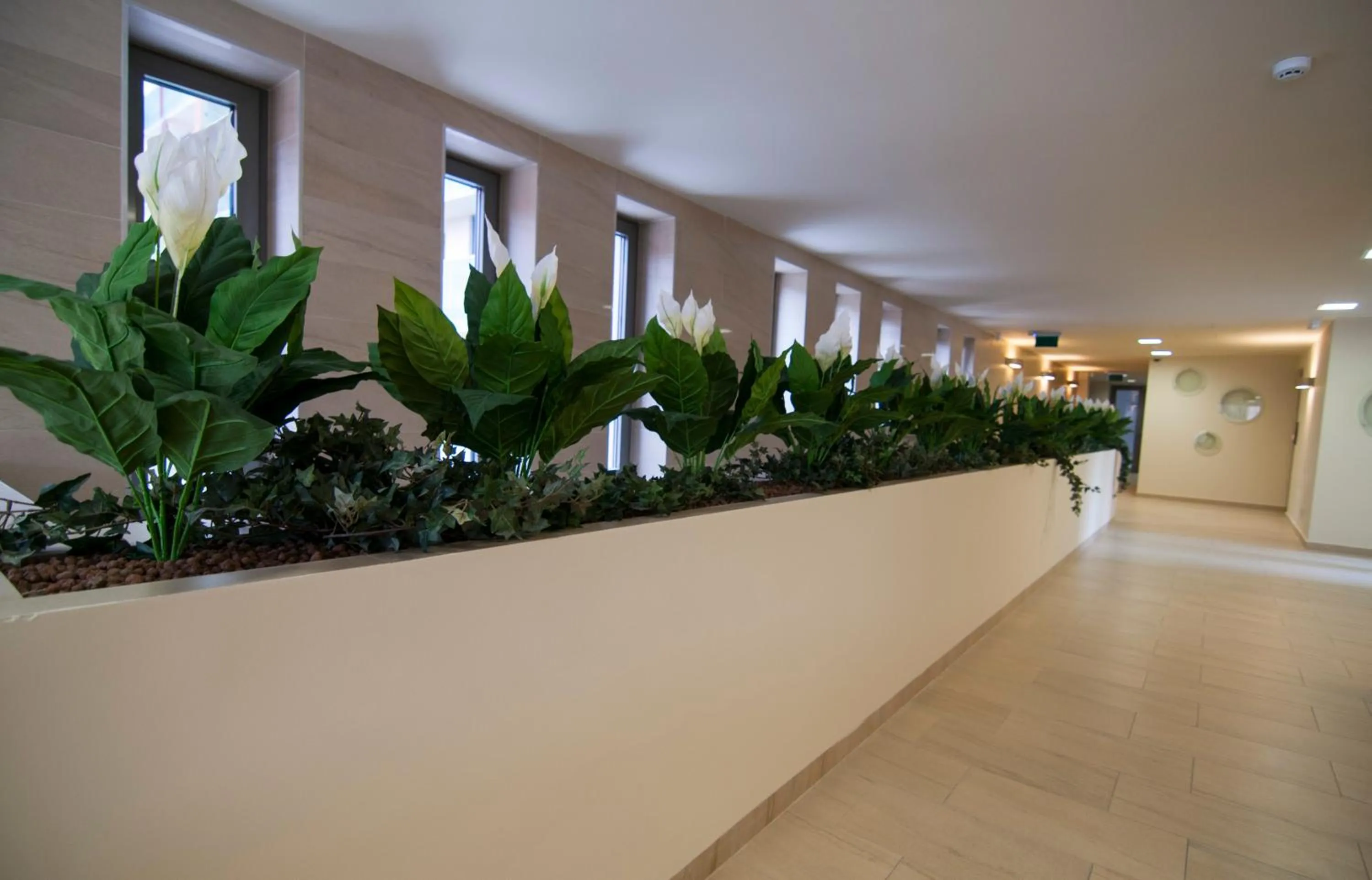 Facade/entrance in Corvin Center Suites