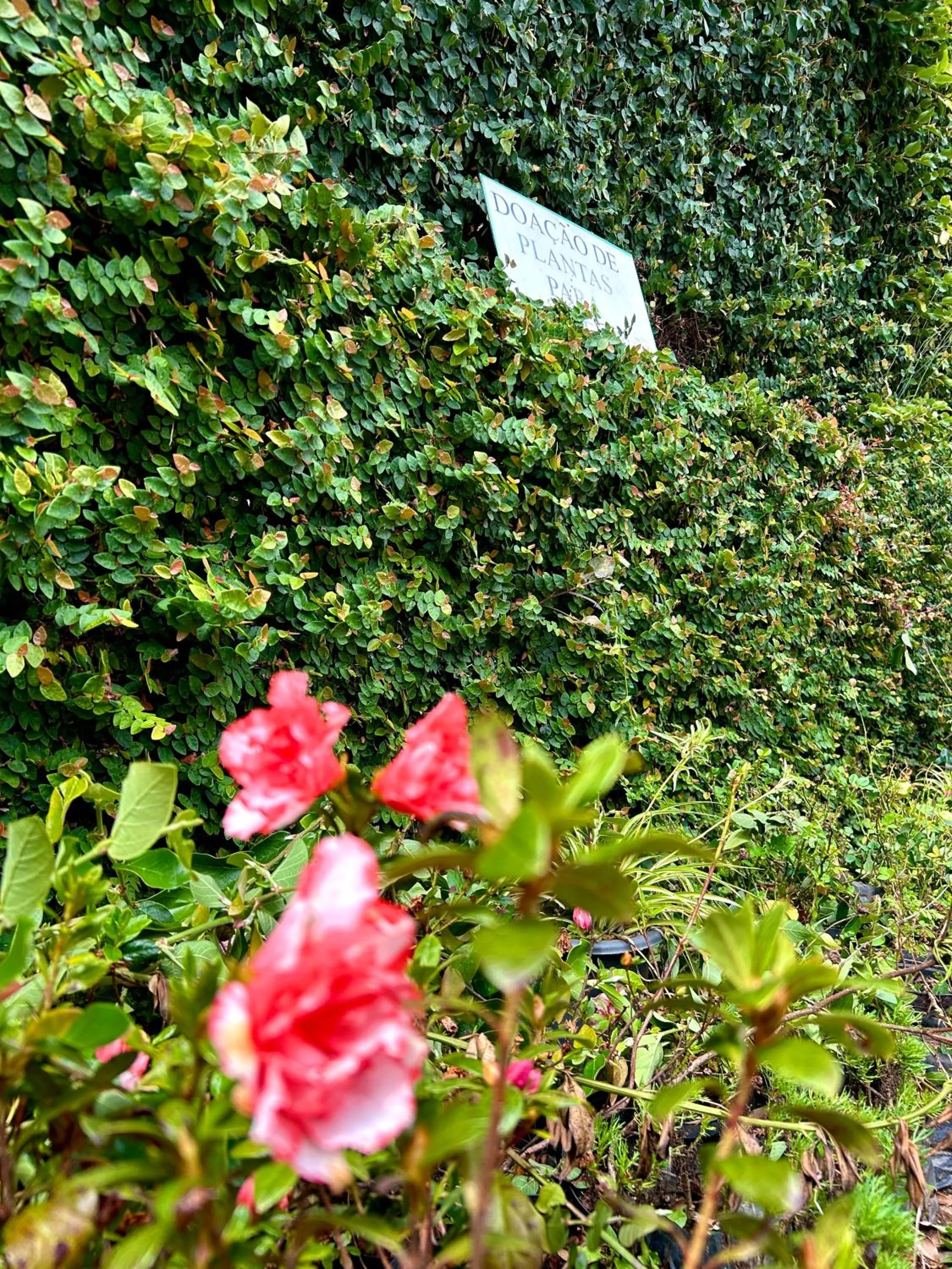 Pousada dos Esquilos