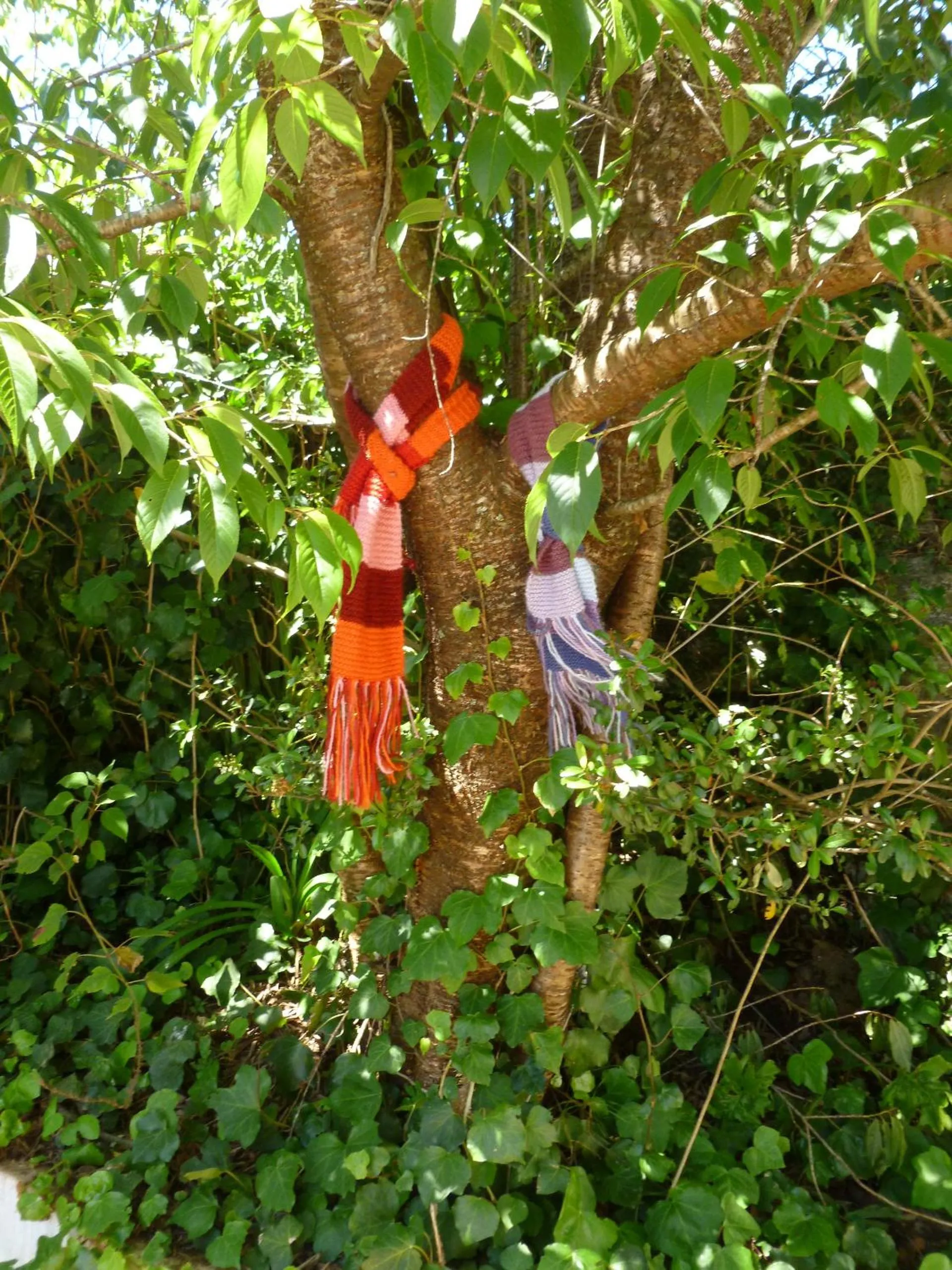 Garden in Pousada dos Esquilos