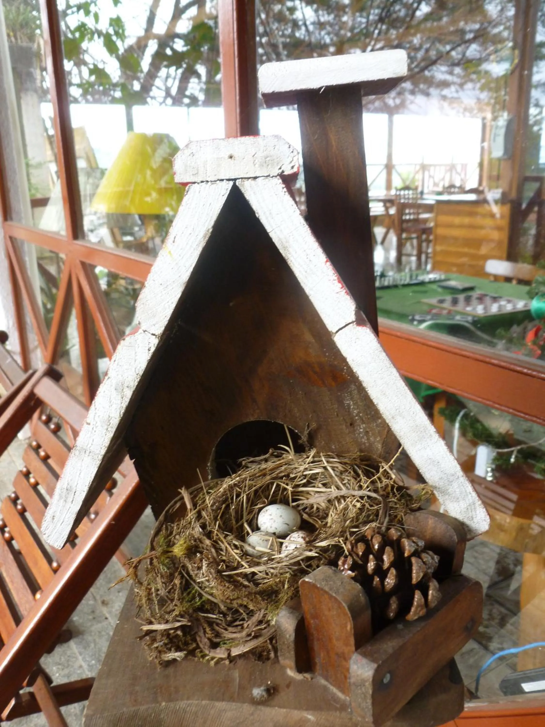 Other in Pousada dos Esquilos