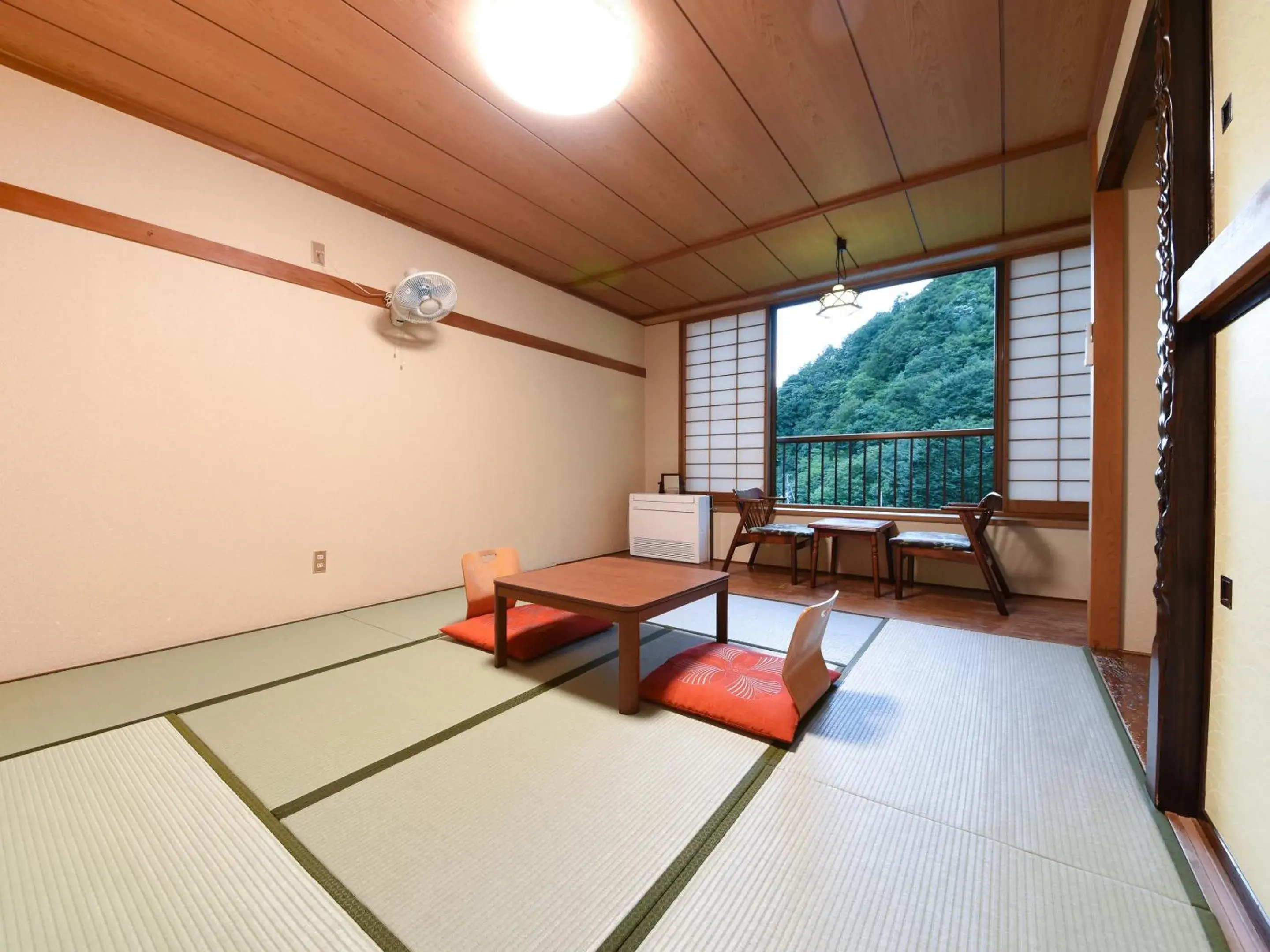Standard Twin Room - single occupancy in Iwazonokan Standard Twin Room - single occupancy in Iwazonokan