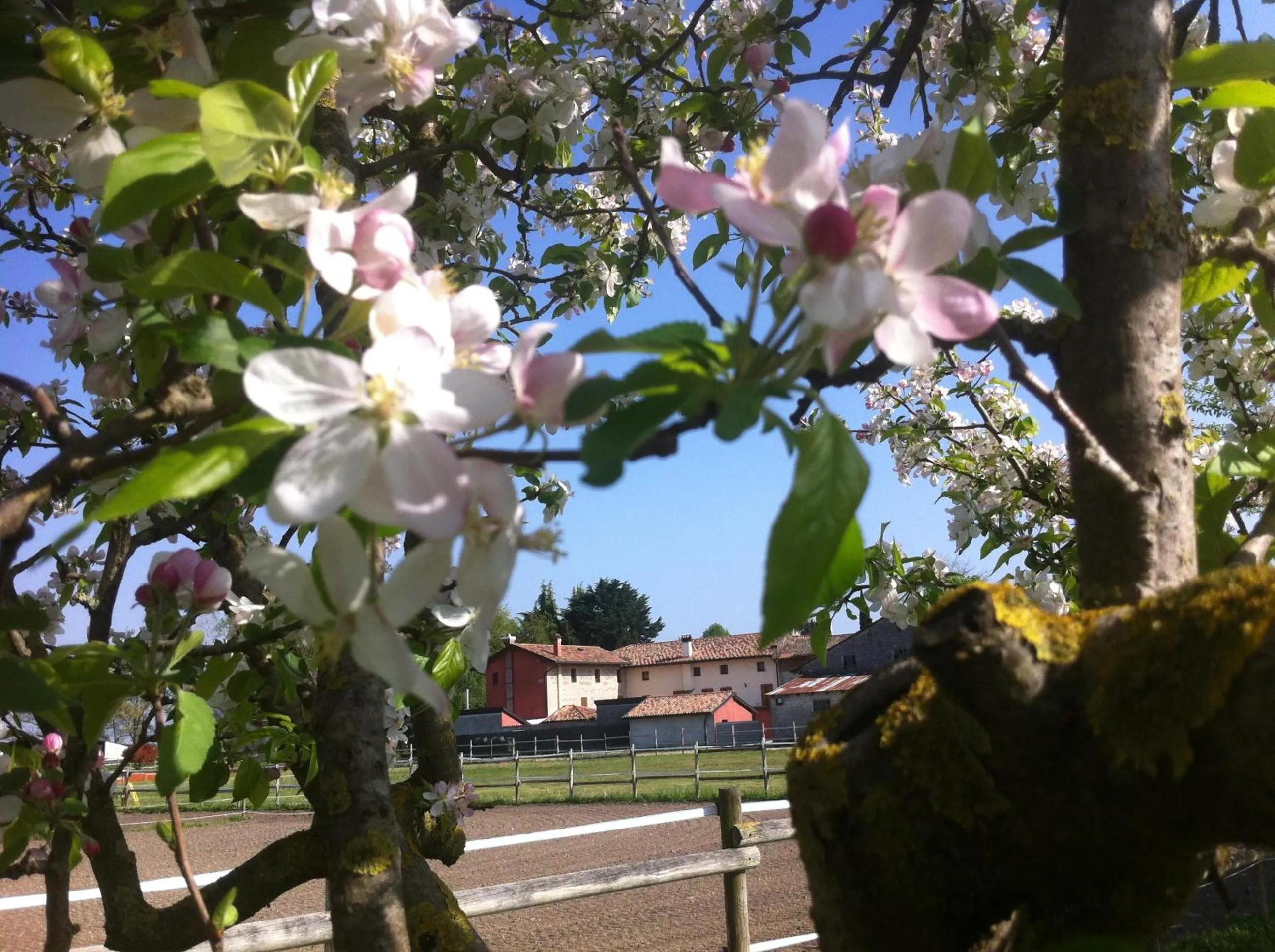 Horse-riding in Agriturismo Al Casale