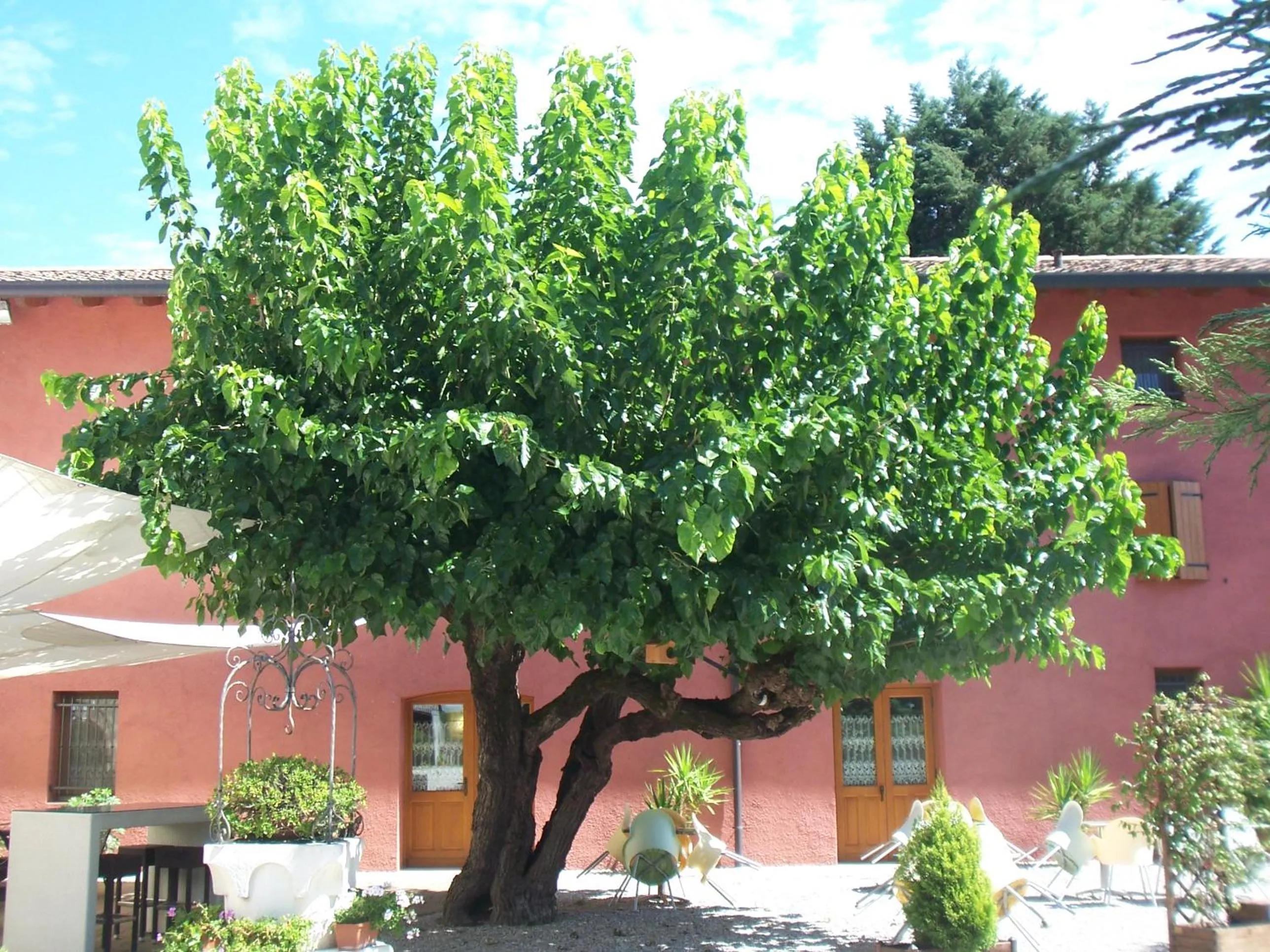 Other in Agriturismo Al Casale