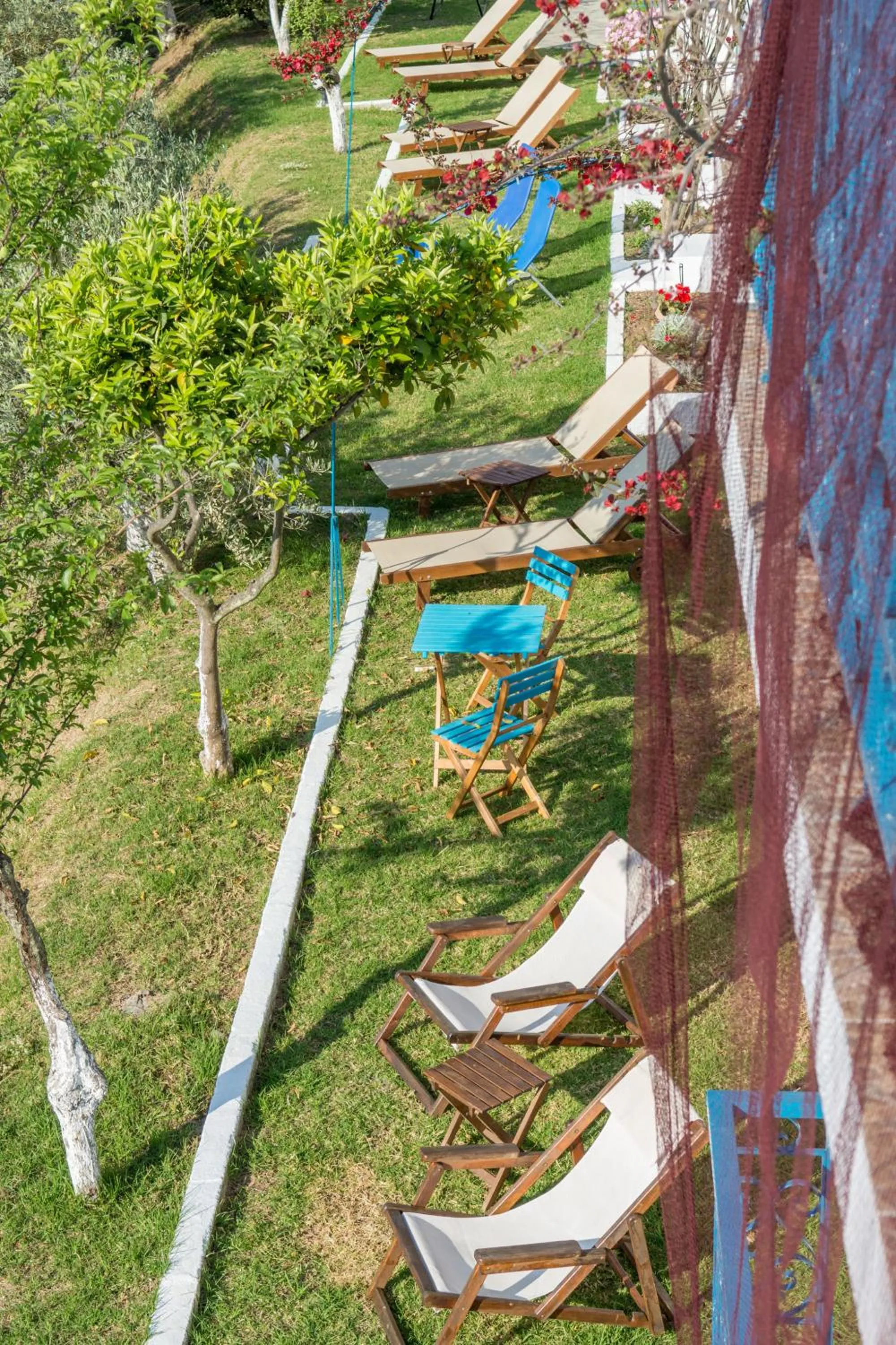 Garden in Aelia Studios