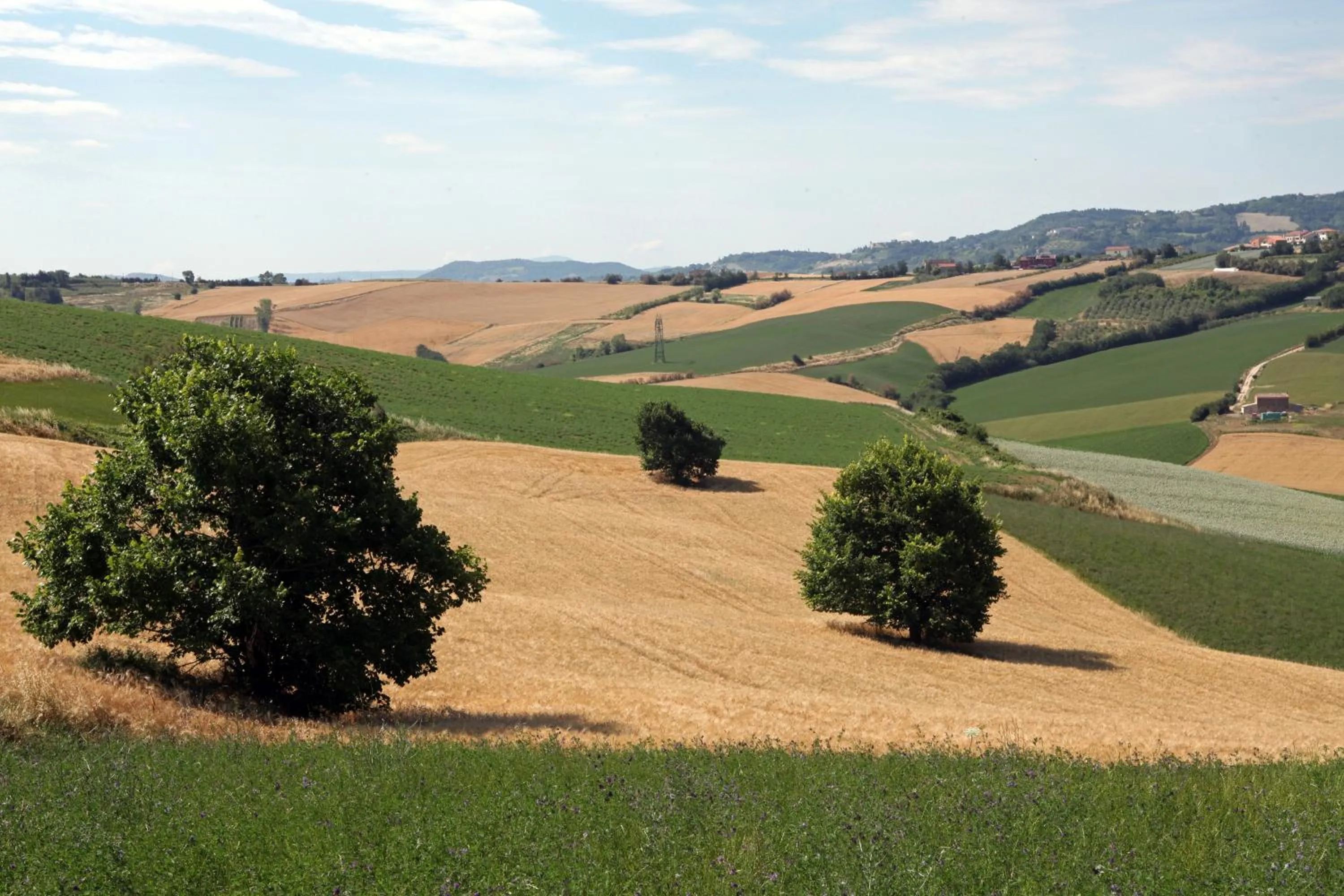 Natural landscape in Hotel Barca D'Oro