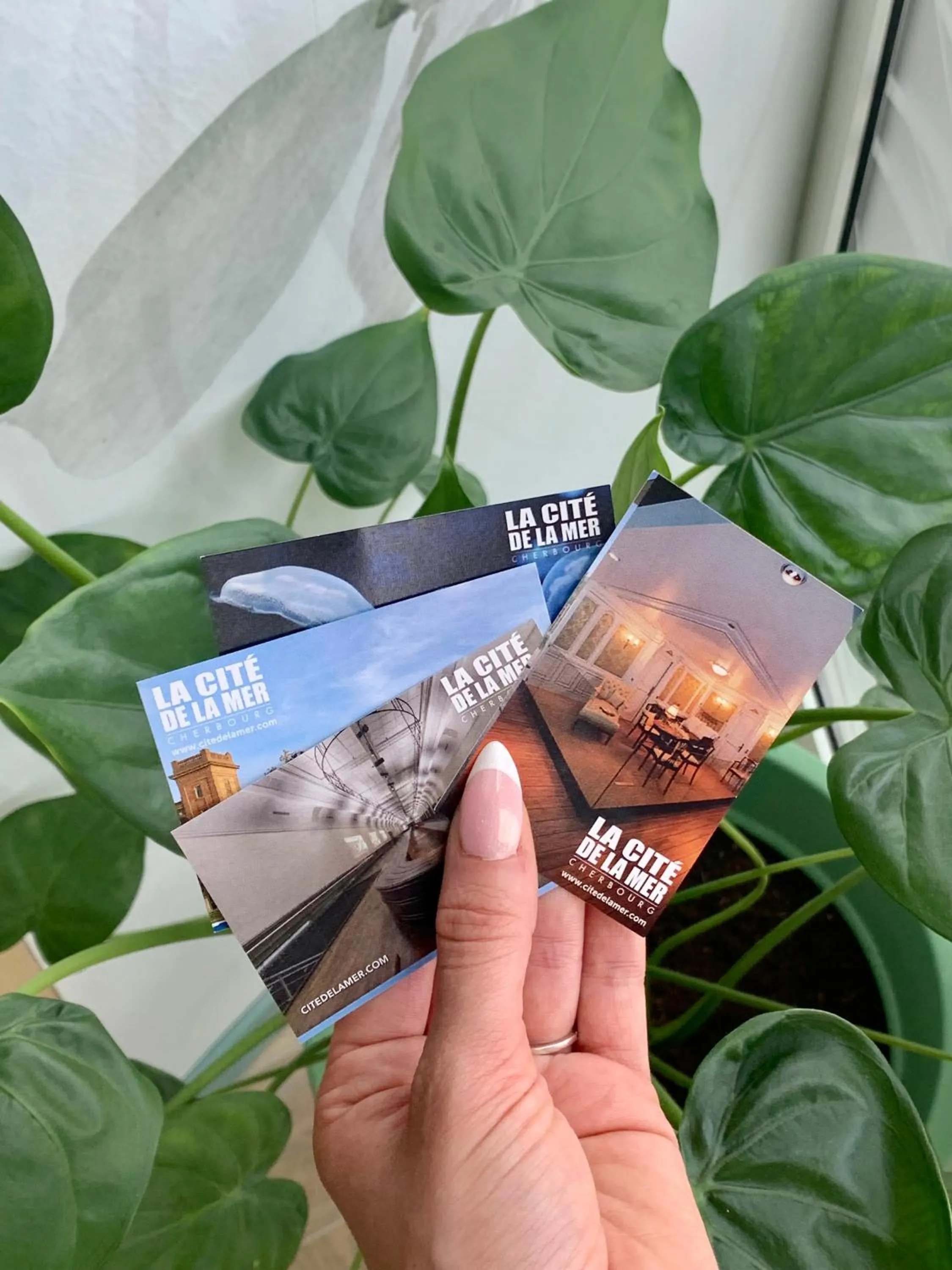 Entertainment in Ambassadeur Hotel - Cherbourg Port de Plaisance