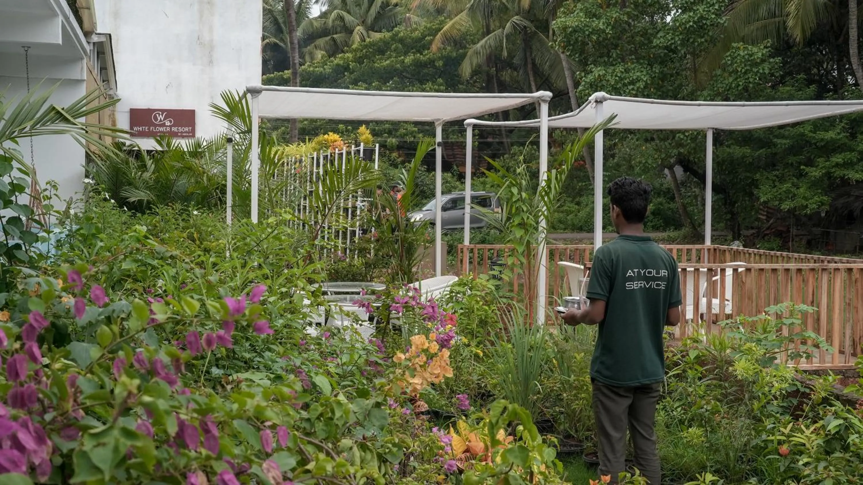 Day in Whiteflower Resort Morjim