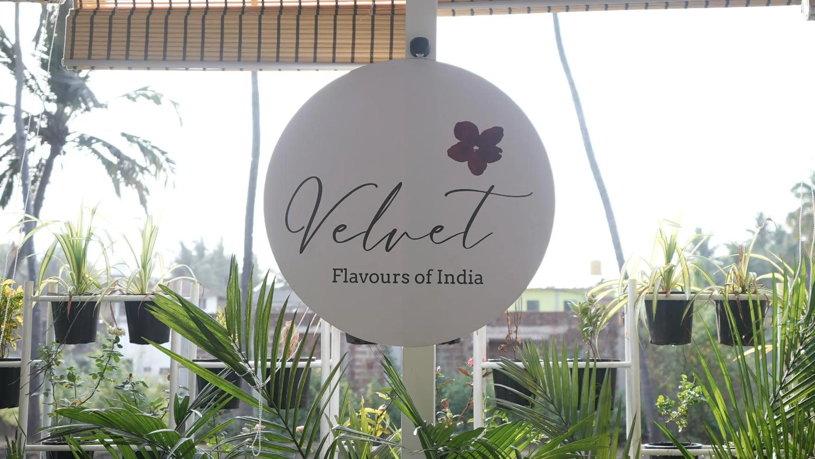 Lounge or bar in Whiteflower Resort Morjim