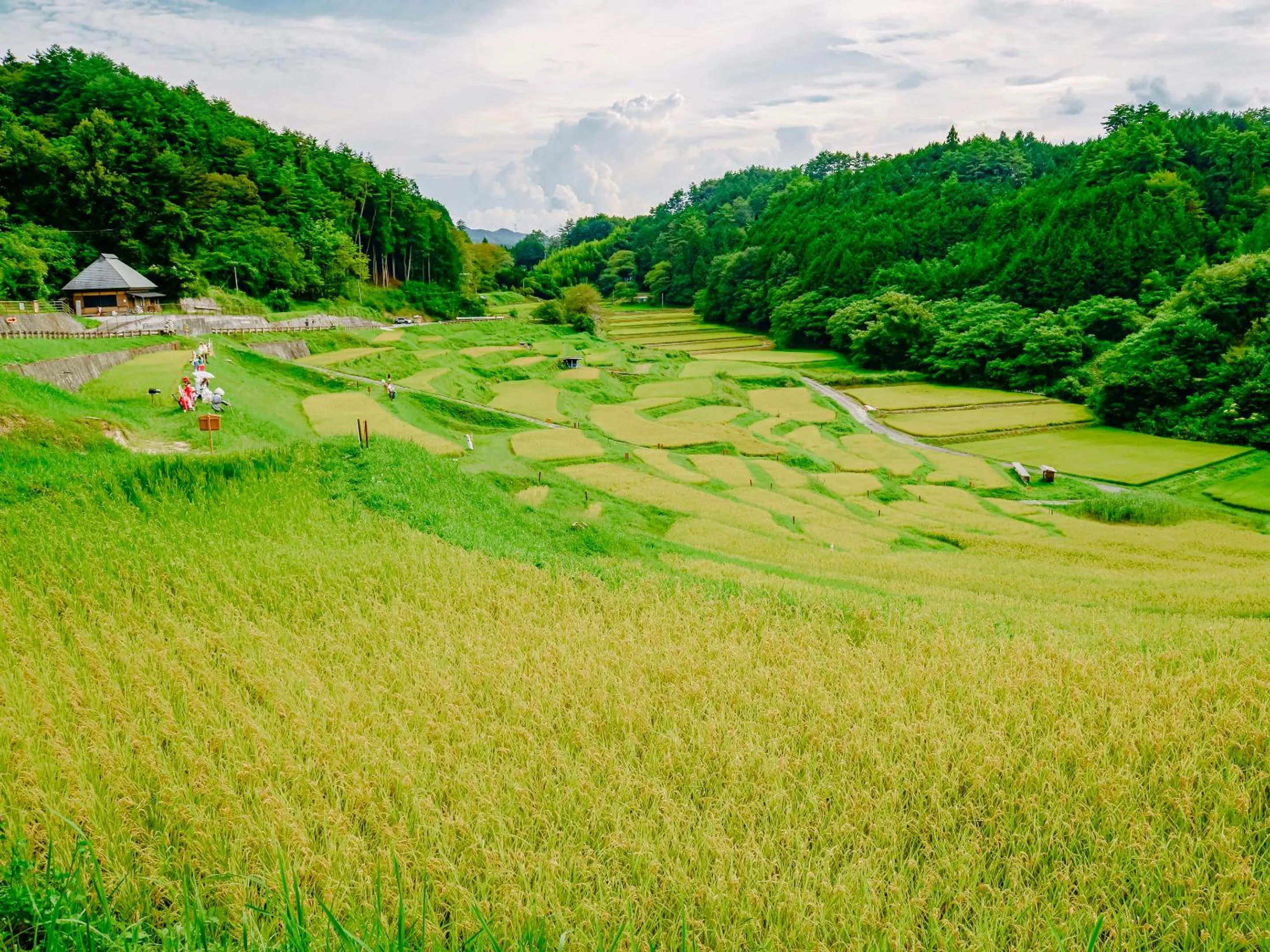 Natural landscape in Fudouonsen Sawaya