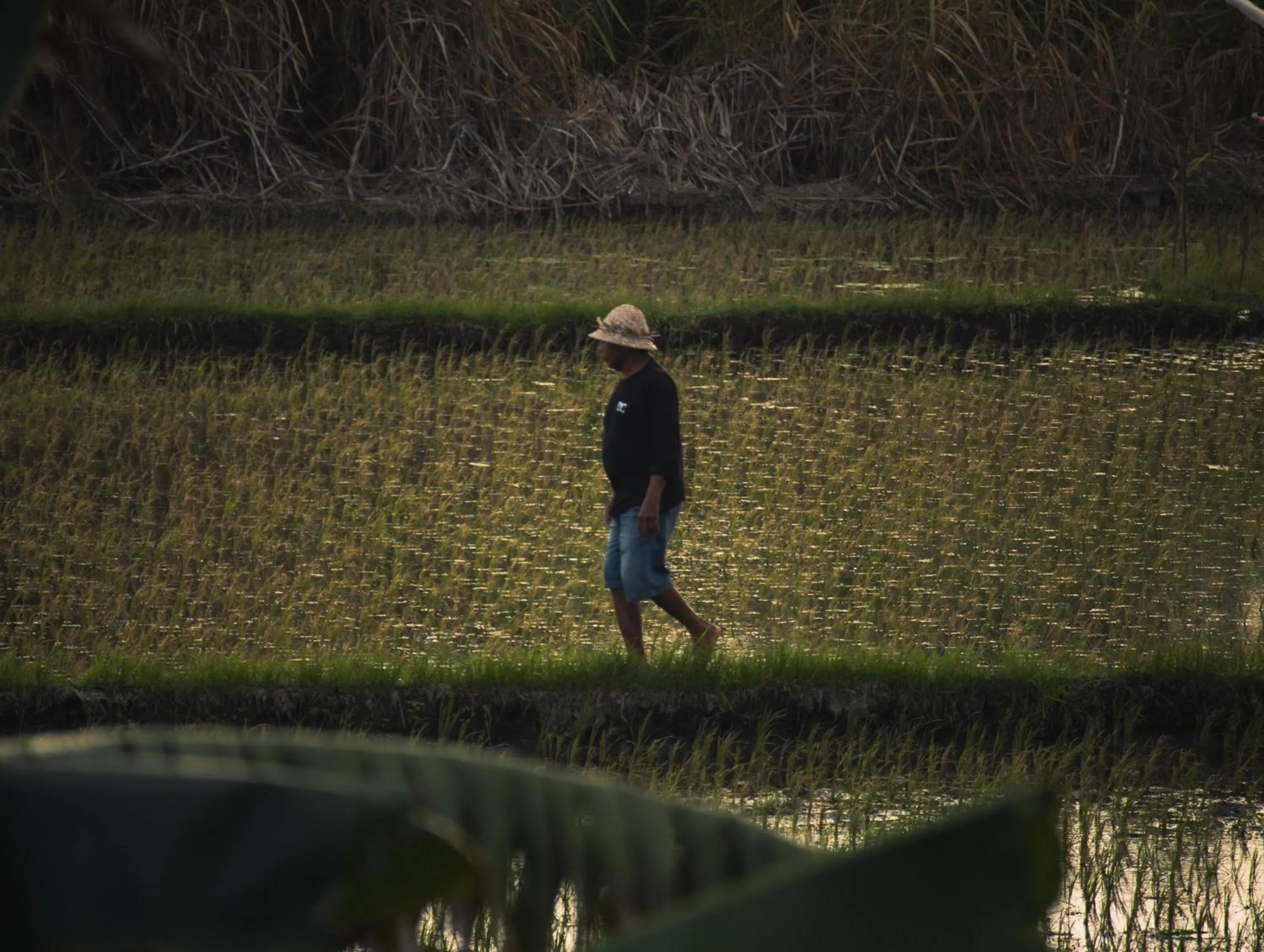 People in K Ko Surf Village at Keramas