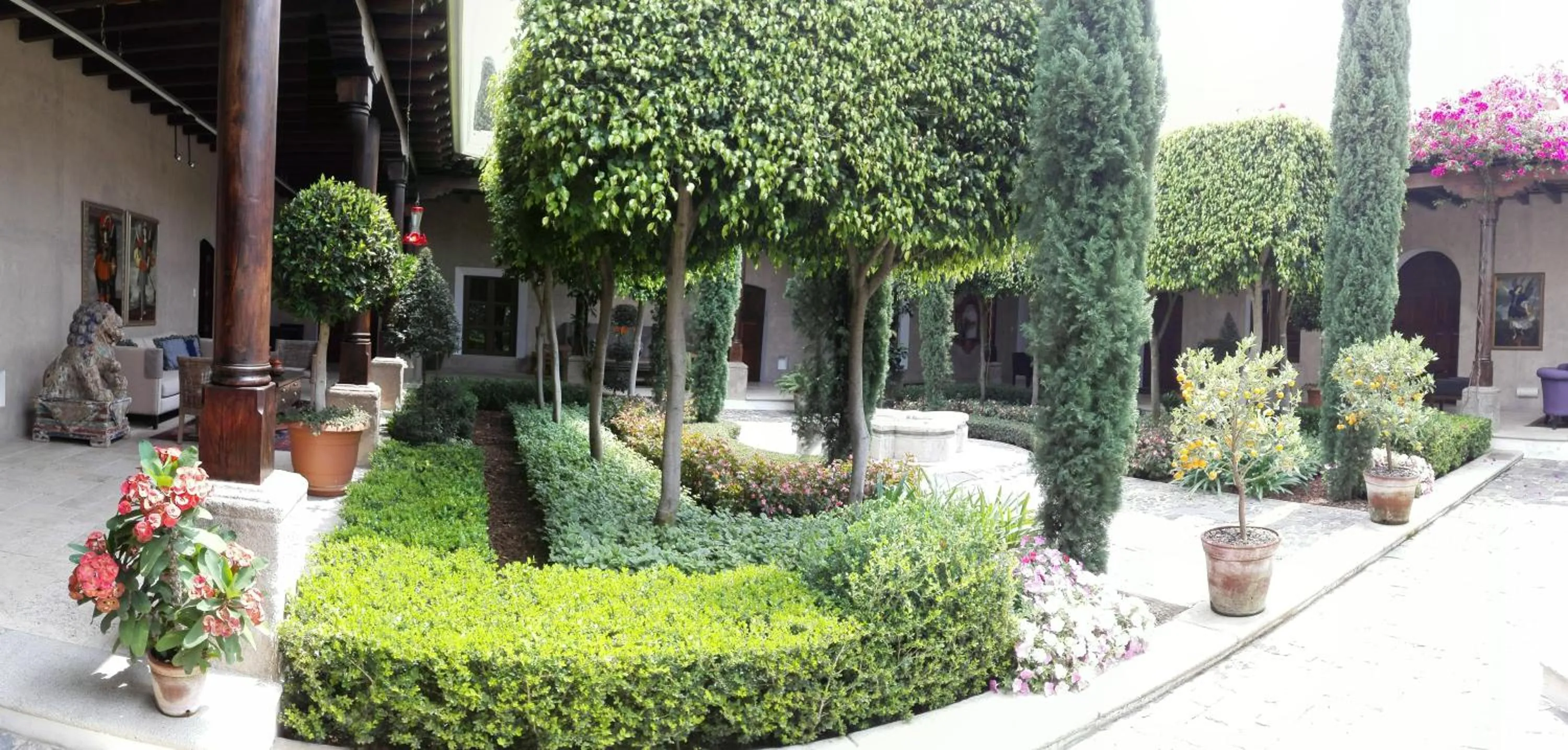 Garden view in San Rafael Hotel
