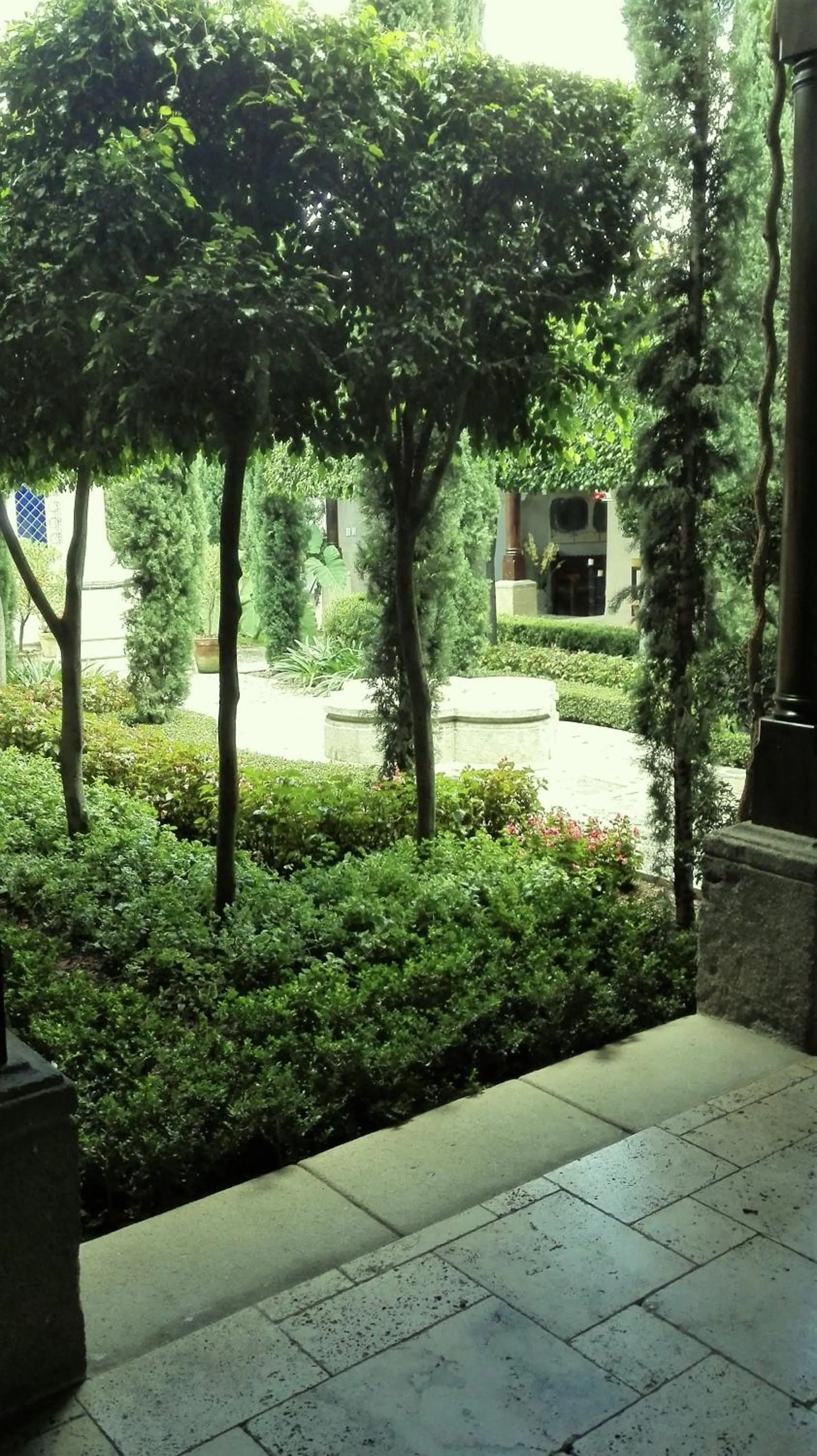 Garden in San Rafael Hotel