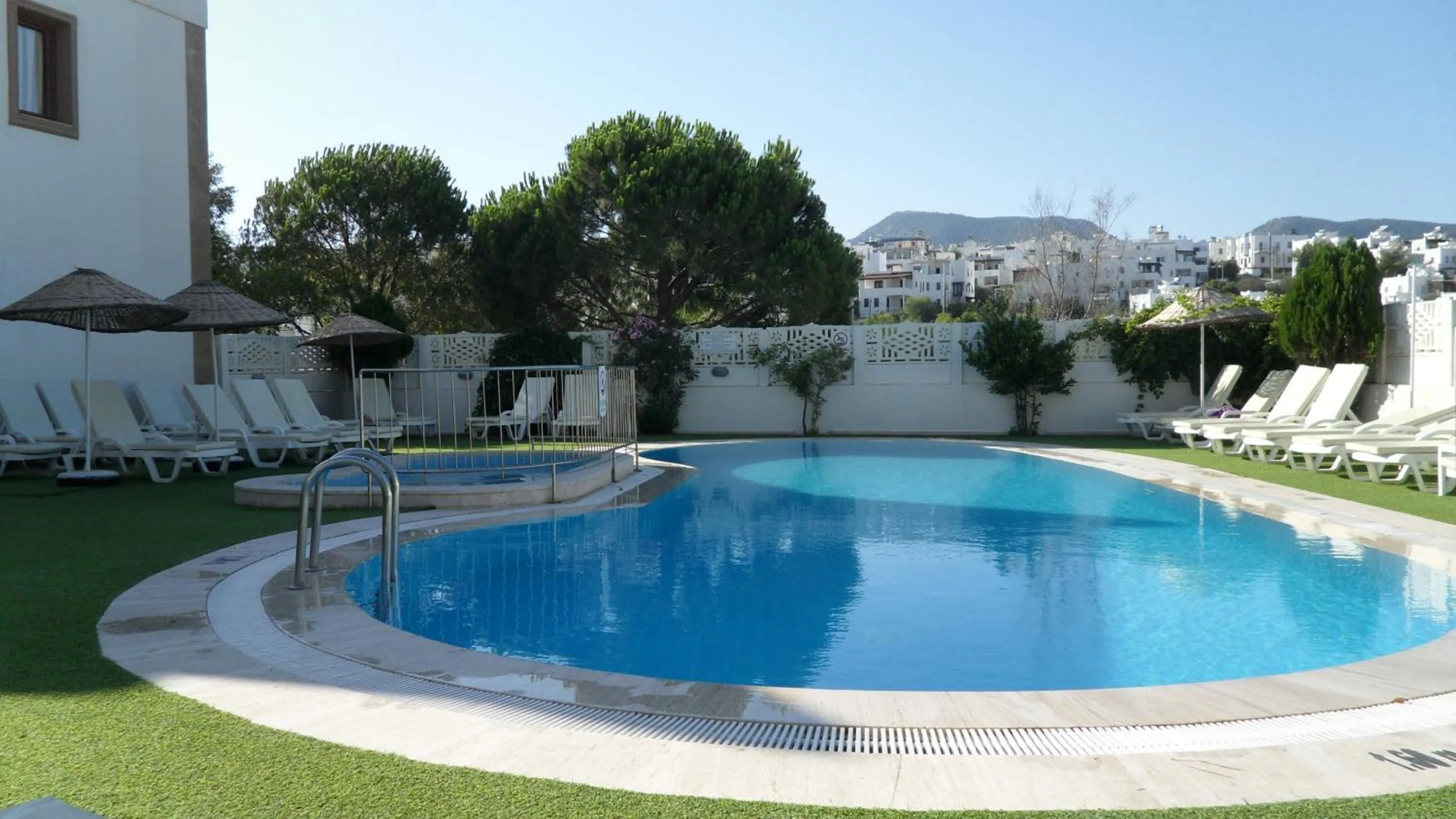 Swimming pool in Ozukara Apart 1