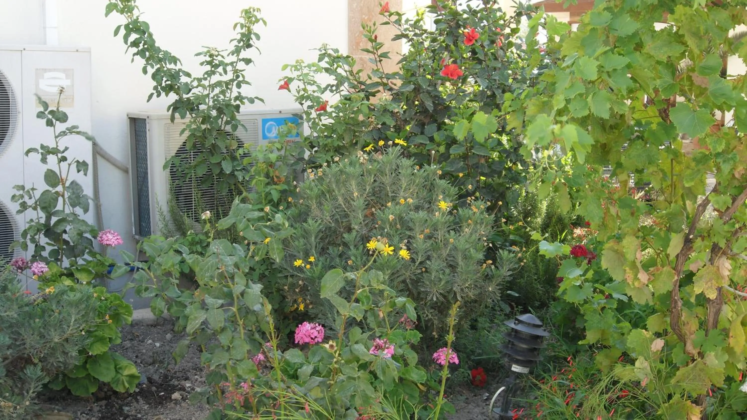 Garden in Ozukara Apart 1