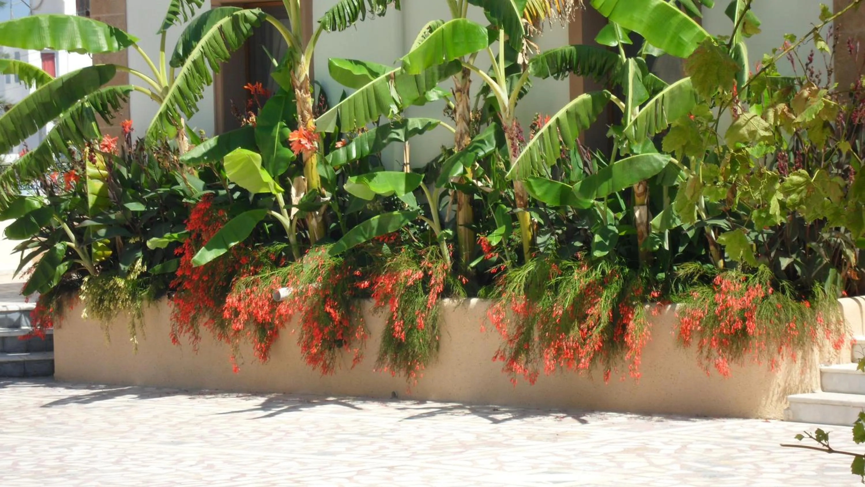 Garden in Ozukara Apart 1