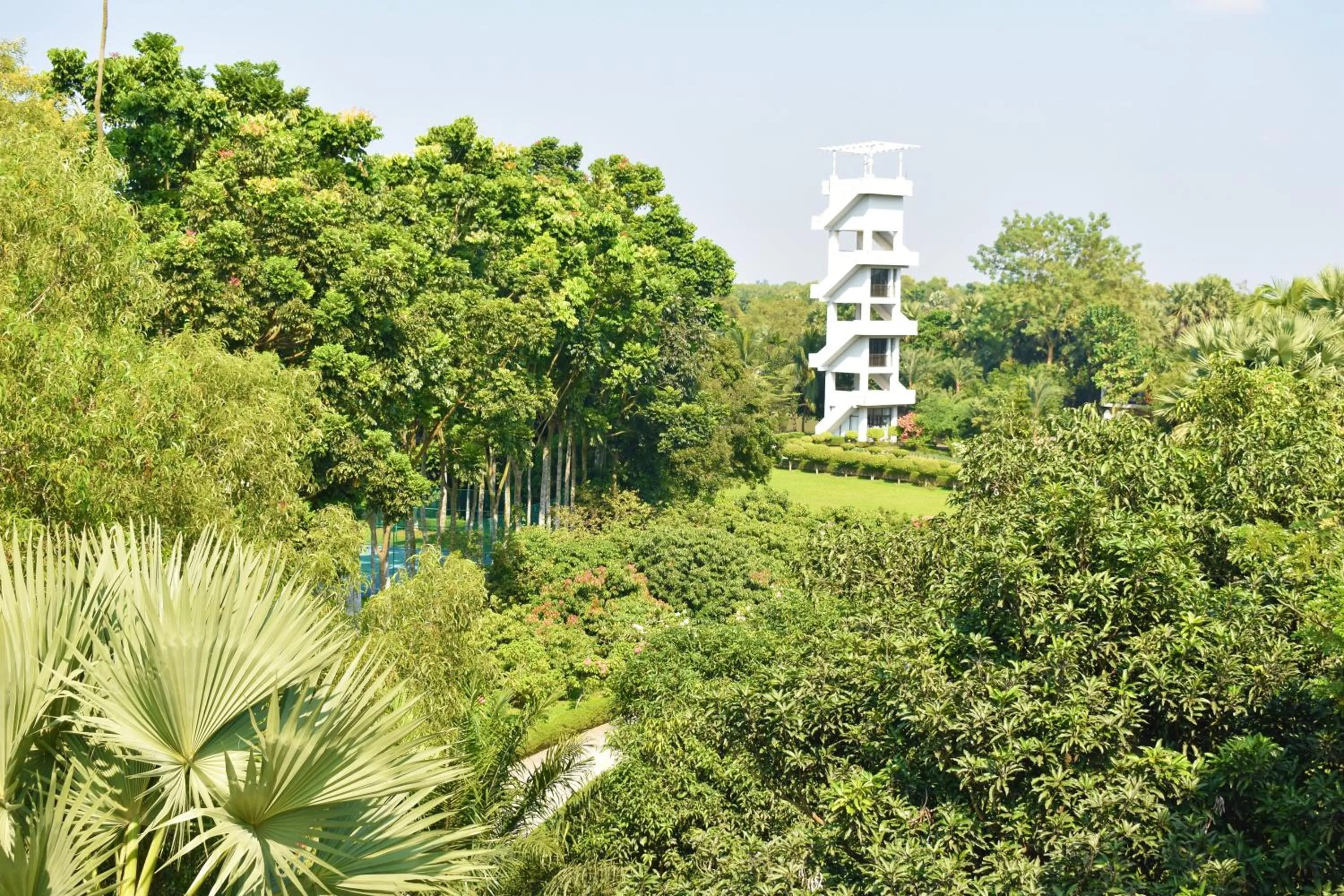 Dream Square Resort