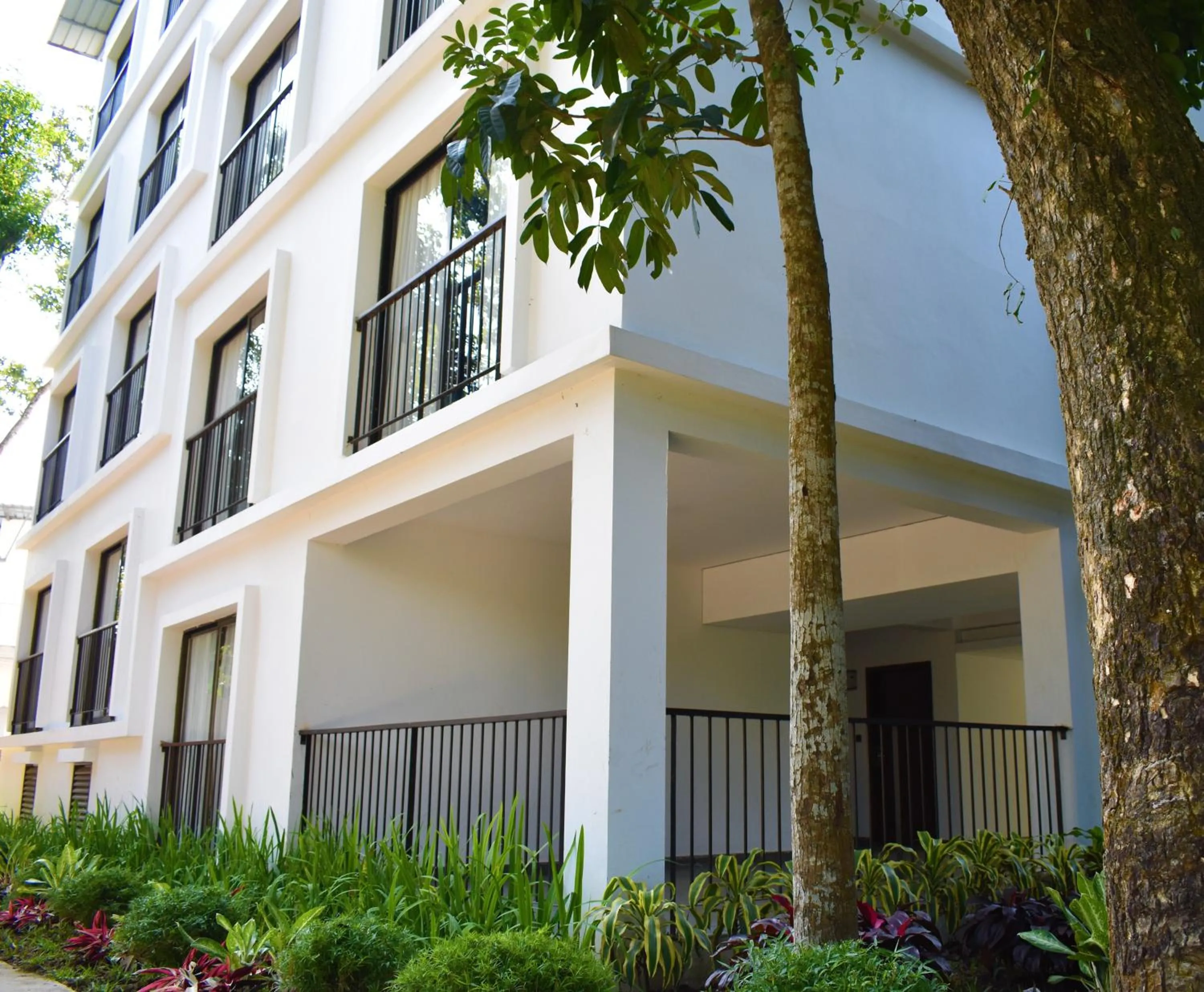 Dream Square Resort