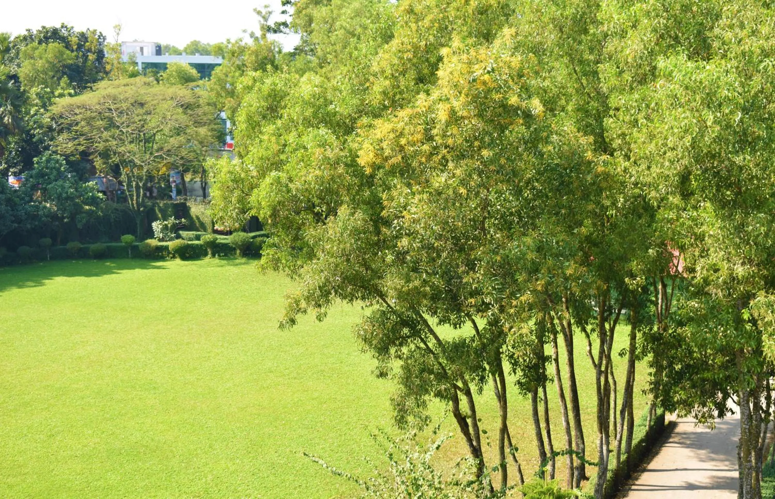 Dream Square Resort