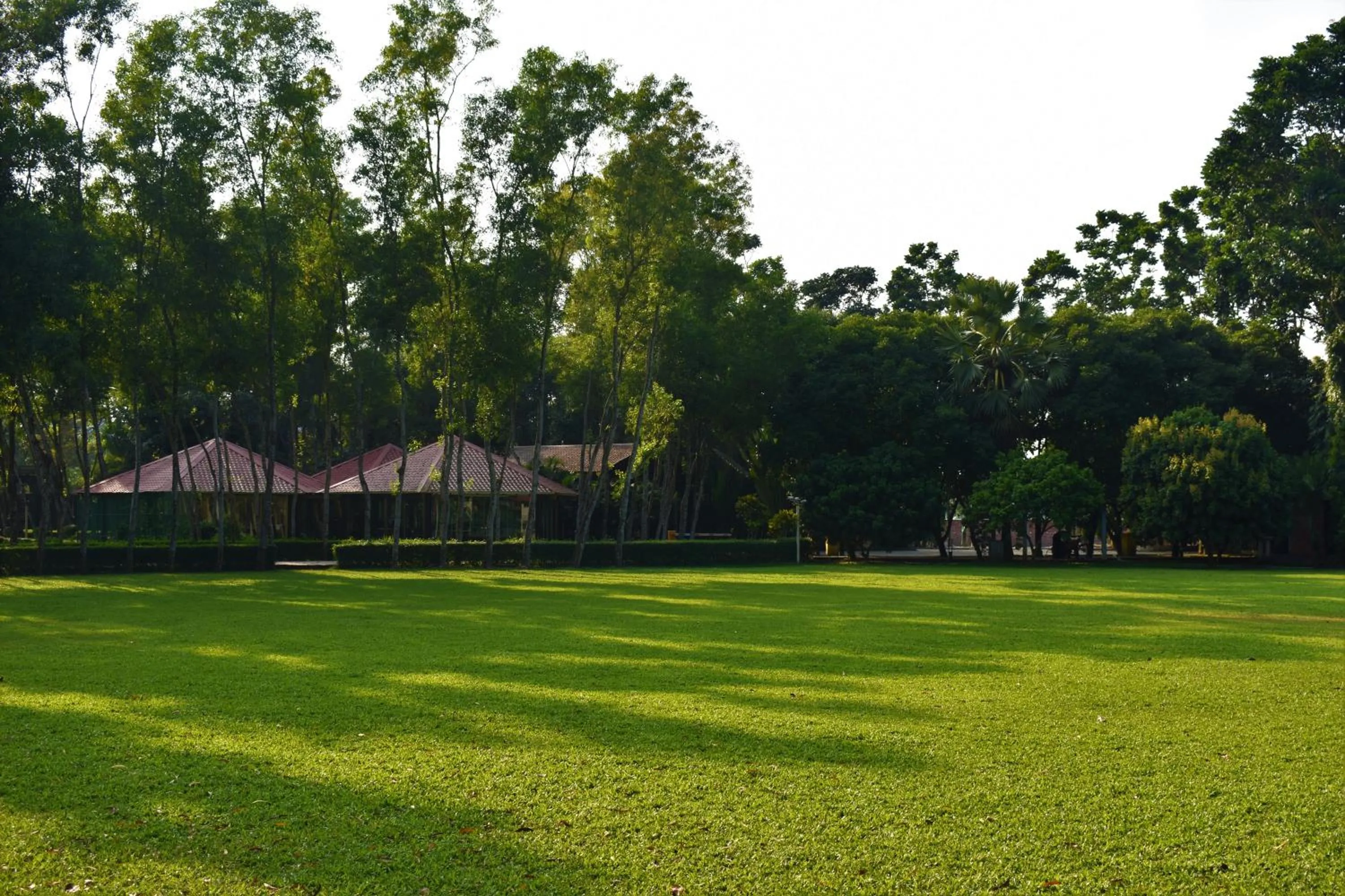 Dream Square Resort
