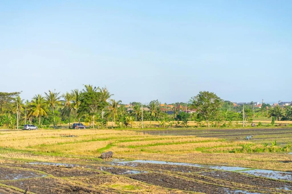 Pondok Lulik Seseh Beach