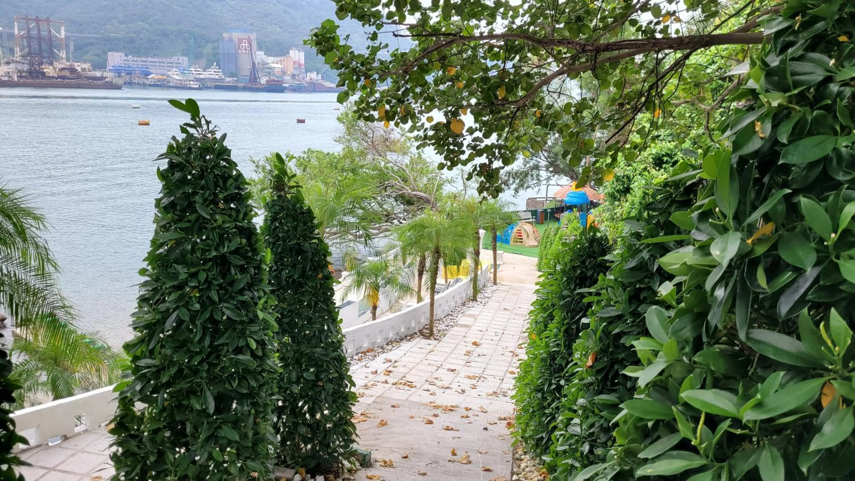 View (from property/room) in Grand Bay View Hotel