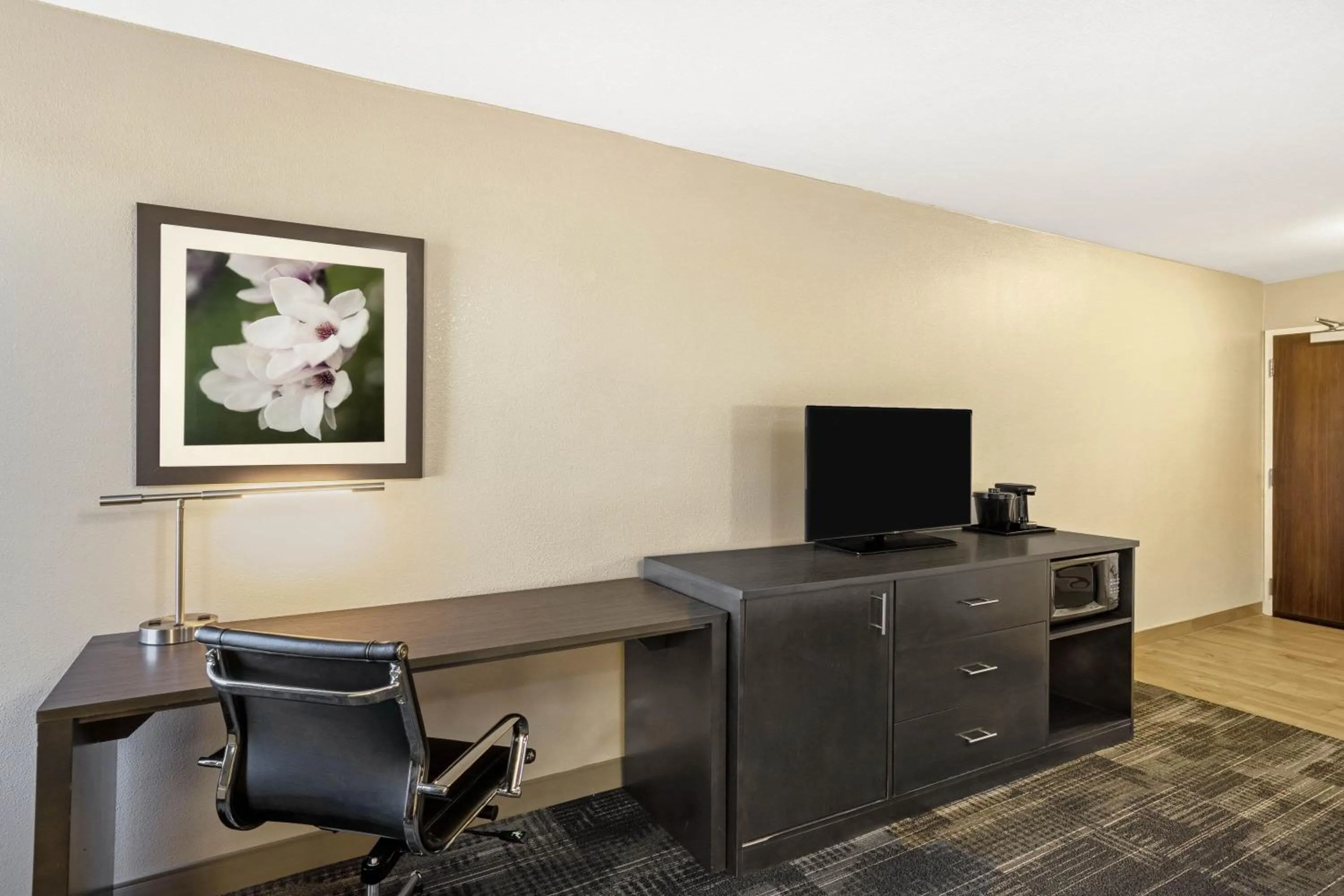 TV and multimedia in La Quinta by Wyndham Columbus MS